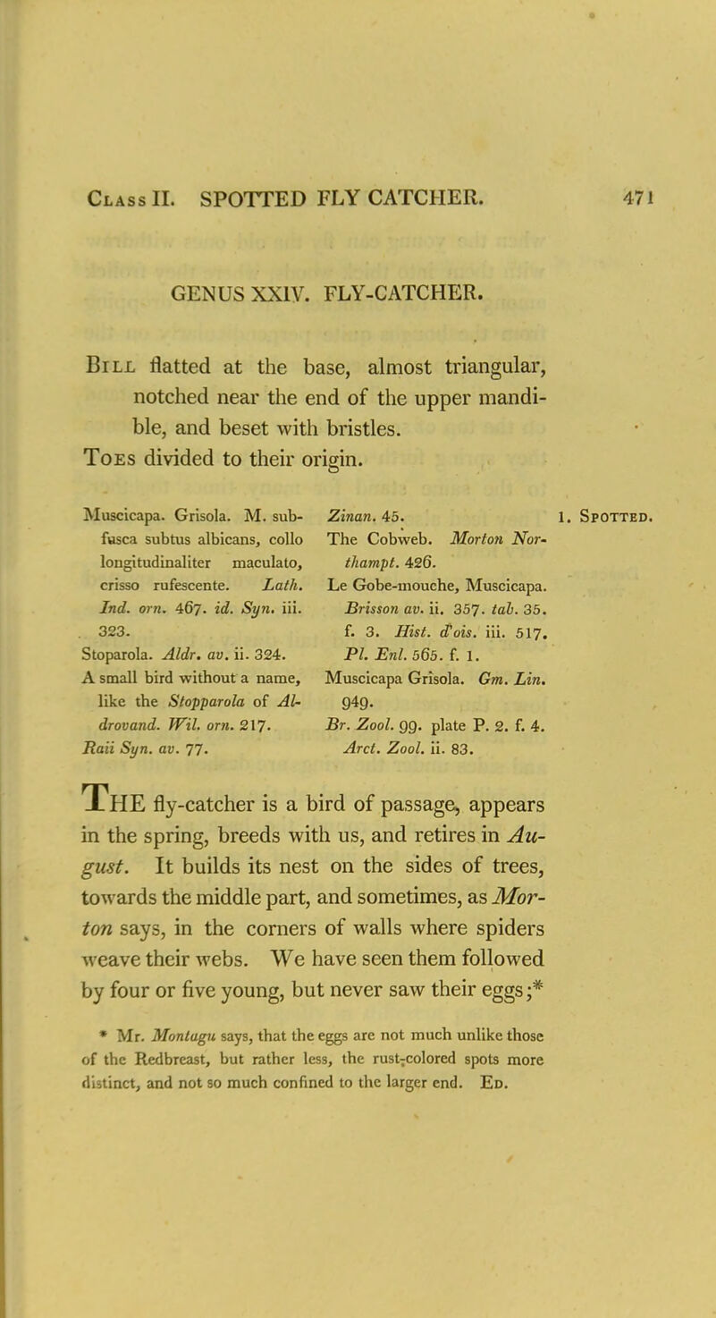GENUS XXIV. FLY-CATCHER. Bill flatted at the base, almost triangular, notched near the end of the upper mandi- ble, and beset with bristles. Toes divided to their origin. Muscicapa. Grisola. M. sub- fusca subtus albicans, collo longitudinal iter maculato, crisso rufescente. Lath. Ind. orn. 467. id. Syn. iii. 323. Stoparola. Aldr. av. ii. 324. A small bird without a name, like the Stopparola of Al- drovand. Wil. orn. 217- Rait Syn. av. 77. Zinan. 45. 1. Spotted The Cobweb. Morton Nor- thampt. 426. Le Gobe-niouche, Muscicapa. Brisson av. ii. 357. tab. 35. f. 3. Hist, d'ois. iii. 517. PL Enl. 565. f. 1. Muscicapa Grisola. Gm. Lin. 949. Br. Zool. 99. plate P. 2. f. 4. Arct. Zool. ii. 83. JL HE fly-catcher is a bird of passage, appears in the spring, breeds with us, and retires in Au- gust. It builds its nest on the sides of trees, towards the middle part, and sometimes, as Mor- ton says, in the corners of walls where spiders weave their webs. We have seen them followed by four or five young, but never saw their eggs ;* * Mr. Montagu says, that the eggs are not much unlike those of the Redbreast, but rather less, the rustTcolored spots more distinct, and not so much confined to the larger end. Ed.