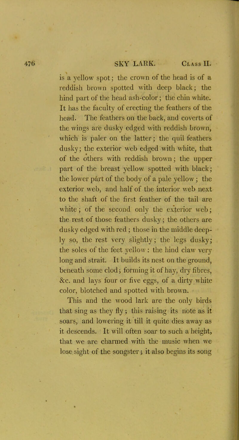 is a yellow spot; the crown of the head is of a reddish brown spotted with deep black; the hind part of the head ash-color; the chin white. It has the faculty of erecting the feathers of the head. The feathers on the back, and coverts of the wings are dusky edged with reddish brown, which is paler on the latter; the quil feathers dusky; the exterior web edged with white, that * of the others with reddish brown; the upper part of the breast yellow spotted with black; the lower part of the body of a pale yellow ; the exterior web, and half of the interior web next to the shaft of the first feather of the tail are white; of the second only the exterior web; the rest of those feathers dusky; the others are dusky edged with red ; those in the middle deep- ly so, the rest very slightly; the legs dusky; the soles of the feet yellow : the hind claw very long and strait. It builds its nest on the ground, beneath some clod; forming it of hay, dry fibres, &c. and lays four or five eggs, of a dirty white color, blotched and spotted with brown. This and the wood lark are the only birds that sing as they fly; this raising its note as it soars, and lowering it till it quite dies away as it descends. It will often soar to such a height, that we are charmed with the music when we lose sight of the songster j it also begins its song