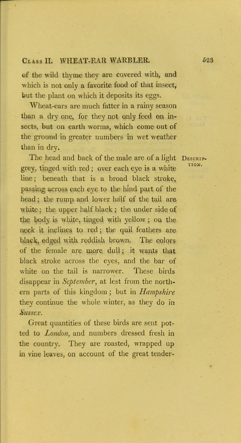 of the wild thyme they are covered with, and which is not only a favorite food of that insect, but the plant on which it deposits its eggs. Wheat-ears are much fatter in a rainy season than a dry one, for they not only feed on in- sects, but on earth worms, which come out of the ground in greater numbers in wet weather than in dry. The head and back of the male are of a light Descrip- grey, tinged with red; over each eye is a white line; beneath that is a broad black stroke, passing across each eye to the hind part of the head; the rump and lower half of the tail are white; the upper half black ; the under side of the body is white, tinged with yellow; on the neck it inclines to red; the quil feathers are black, edged with reddish brown. The colors of the female are more dull; it wants that black stroke across the eyes, and the bar of white on the tail is narrower. These birds disappear in September, at lest from the north- ern parts of this kingdom; but in Hampshire they continue the whole winter, as they do in Sussex. Great quantities of these birds are sent pot- ted to London, and numbers dressed fresh in the country. They are roasted, wrapped up in vine leaves, on account of the great tender-