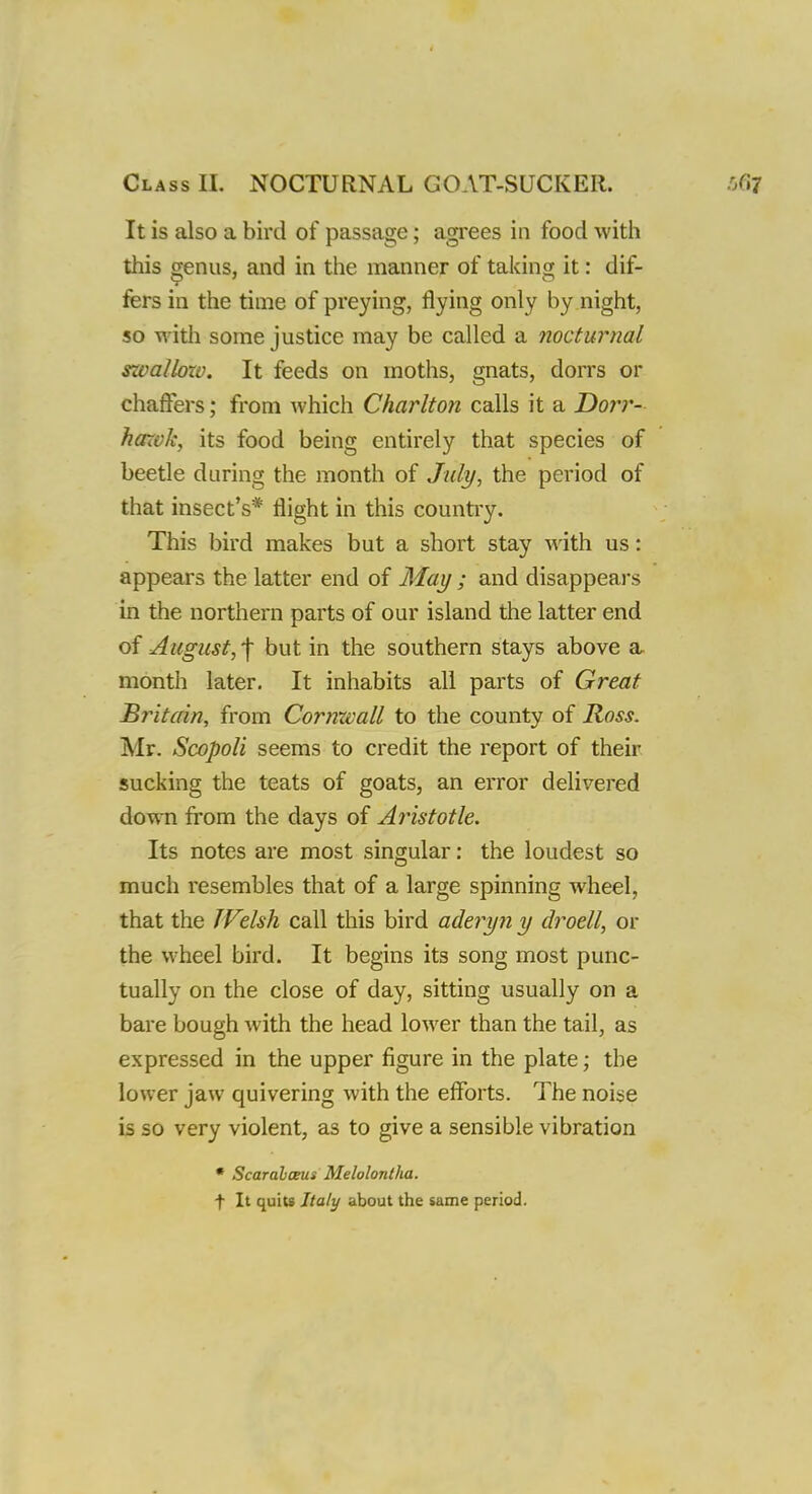Class II. NOCTURNAL GOAT-SUCKER. It is also a bird of passage; agrees in food with this genus, and in the manner of taking it: dif- fers in the time of preying, flying only by night, so with some justice may be called a nocturnal szvallozv. It feeds on moths, gnats, dorrs or chaffers; from which Charlton calls it a Do?'?'- harvk, its food being entirely that species of beetle daring the month of July, the period of that insect's* flight in this country. This bird makes but a short stay with us: appears the latter end of May ; and disappears in the northern parts of our island the latter end of August, -f but in the southern stays above a month later. It inhabits all parts of Great Britain, from Cornxvall to the county of Ross. Mr. Scopoli seems to credit the report of their sucking the teats of goats, an error delivered down from the days of A?'istotle. Its notes are most singular: the loudest so much resembles that of a large spinning wheel, that the JVelsh call this bird ade?'y?iy d?'oell, or the wheel bird. It begins its song most punc- tually on the close of day, sitting usually on a bare bough with the head lower than the tail, as expressed in the upper figure in the plate; the lower jaw quivering with the efforts. The noise is so very violent, as to give a sensible vibration  Scarabceus Melolontha. t It quits Italy about the same period.