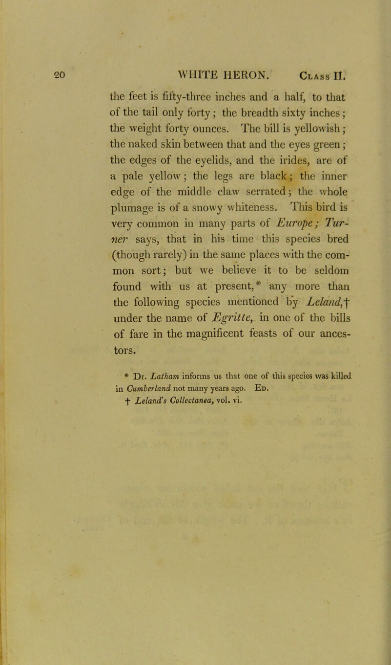 the feet is fifty-three inches and a half, to that of the tail only forty; the breadth sixty inches; the weight forty ounces. The bill is yellowish; the naked skin between that and the eyes green; the edges of the eyelids, and the irides, are of a pale yellow; the legs are black; the inner edge of the middle claw serrated; the whole plumage is of a snowy whiteness. This bird is very common in many parts of Europe; Tur- ner says, that in his time this species bred (though rarely) in the same places with the com- mon sort; but we believe it to be seldom found with us at present,* any more than the following species mentioned by Leland^ under the name of Egritte, in one of the bills of fare in the magnificent feasts of our ances- tors. * Dr. Latham informs us that one of this species was killed in Cumberland not many years ago. Ed.