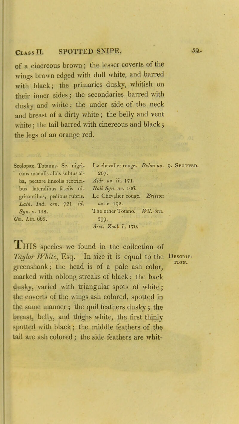 Class II. SPOTTED SNIPE. 59u of a cinereous brown; the lesser coverts of the wings brown edged with dull white, and barred with black; the primaries dusky, whitish on their inner sides; the secondaries barred with dusky and white; the under side of the neck and breast of a dirty white; the belly and vent white; the tail barred with cinereous and black; the legs of an orange red. Scolopax. Totanus. Sc. nigri- Le chevalier rouge. Belon av. Q. Spotted. cans maculis albis subtus al- 207- ba, pectore lineolis rectrici- Aldr. av. Hi. 171. bus lateralibus fasciis ni- Raii Syn. av. 106. gricantibus, pedibus rubris. Le Chevalier rouge. Brisson Lath. Ind. orn. 721. id. av. v. 1Q2. Syn. v. 148. The other Totano. Wil. dm. Gm. Lin. 665. 299. Arct. Zool. ii. 170. This species we found in the collection of Taylor IVhite, Esq. In size it is equal to the Descrip- greenshank; the head is of a pale ash color, marked with oblong streaks of black; the back dusky, varied with triangular spots of white; the coverts of the wings ash colored, spotted in the same manner; the quil feathers dusky ; the breast, belly, and thighs white, the first thinly spotted with black; the middle feathers of the tail are ash colored; the side feathers are whit-