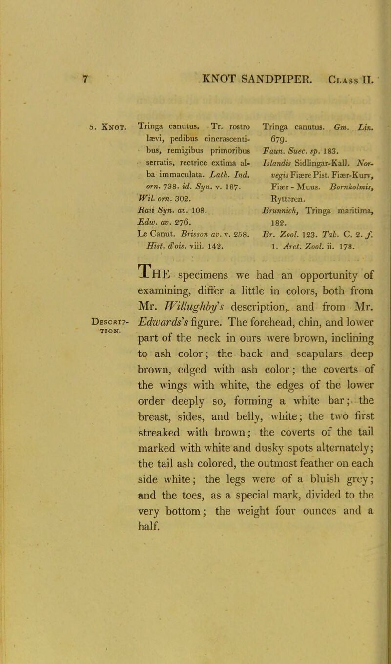 5. Knot. Tringa canutus. Tr. rostro Tringa canutus. Gm. Lin. laevi, pedibus cinerascenti- 679. bus, remigibus primoribus Faun. Suec. sp. 183. serratis, rectrice extima al- Jslandis Sidlingar-KalJ. Nor- ba immaculata. Lath. Ind. vegis Fiaere Pist. Fiaer-Kurv, orn. 738. id. Syn. v. 187- Fiaer- Muus. Bornholmis, Wil. orn. 302. Rytteren. Rait Syn. av. 108. Brunnich, Tringa maritima, Edw. av. 276. 182. Le Canut. Brisson av. v. 258. Br. Zool. 123. Tab. C. 2. /. Hist. cTois. viii. 142. 1. Arct. Zool. ii. 178. The specimens we had an opportunity of examining, differ a little in colors, both from Mr. Willughbys description,, and from Mr. Descrip- Edwards's figure. The forehead, chin, and lower part of the neck in ours were brown, inclining to ash color; the back and scapulars deep brown, edged with ash color; the coverts of the wings with white, the edges of the lower order deeply so, forming a white bar; the breast, sides, and belly, white; the two first streaked with brown; the coverts of the tail marked with white and dusky spots alternately; the tail ash colored, the outmost feather on each side white; the legs were of a bluish grey; and the toes, as a special mark, divided to the very bottom; the weight four ounces and a half. TION.