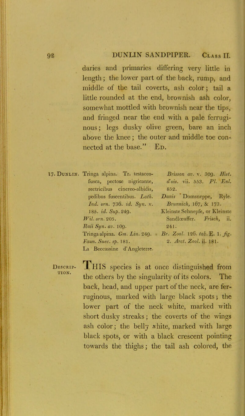 daries and primaries differing very little in length; the lower part of the back, rump, and middle of the tail coverts, ash color; tail a little rounded at the end, brownish ash color, somewhat mottled with brownish near the tips, and fringed near the end with a pale ferrugi- nous ; legs dusky olive green, bare an inch above the knee; the outer and middle toe con- nected at the base. Ed. 17. Dunlin. Tringa alpina. Tr. testaceo- fusca, pectoie nigricante, rectricibus cinereo-albidis, pedibus fuscentibus. Lath. Ind. orn. 736. id. Syn. v. 185. id. Sup. 24g. Wil. orn. 205. Rati Syn. av. 10Q. Tringa alpina. Gm. Lin. 24g. Faun. Suec. sp. 181. La Beccassine d'Angleterre. Descrip- tion. Brisson av. v. 309. Hist, dois. vii. 553. PL Enl. 852. Danis  Domsncppe, Ryle. Brunnich, 167, & 173. Kleinste Schnepfe, or Kleinstc Sandlceuffer. Frisch, ii. 241. Br. Zool. 126. tab.%. 1. Jig. 2. Arct. Zool. ii. 181. TlilS species is at once distinguished from the others by the singularity of its colors. The back, head, and upper part of the neck, are fer- ruginous, marked with large black spots; the lower part of the neck white, marked with short dusky streaks; the coverts of the wings ash color; the belly tfhite, marked with large black spots, or with a black crescent pointing towards the thighs; the tail ash colored, the