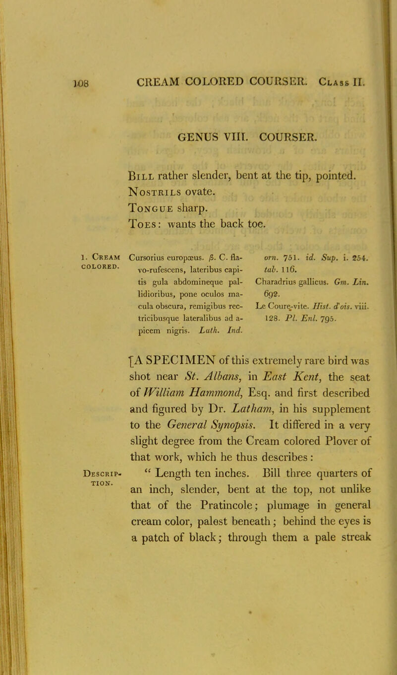 CREAM COLORED COURSER. Class II. GENUS VIII. COURSER. Bill rather slender, bent at the tip, pointed. Nostrils ovate. Tongue sharp. Toes: wants the back toe. 1. Cream Cursorius europxus. ft. C. fla- orn. 751. id. Sup. i. 254. colored. vo-rufescens, lateribus capi- tab. 116. tis gula abdomineque pal- Charadrius gallicus. Gm. Lin. lidioribus, pone oculos ma- 692. cula obscura, remigibus rec- Le Coure_-vite. Hist. cTois. viii. tricibusque lateralibus ad a- 128. PI. Enl. 7Q5. picem nigris. Lath. Ind. £A SPECIMEN of this extremely rare bird was shot near St. Albans, in East Kent, the seat of William Hammond, Esq. and first described and figured by Dr. Latham, in his supplement to the General Synopsis. It differed in a very slight degree from the Cream colored Plover of that work, which he thus describes : Desciup-  Length ten inches. Bill three quarters of an inch, slender, bent at the top, not unlike that of the Pratincole; plumage in general cream color, palest beneath; behind the eyes is a patch of black; through them a pale streak