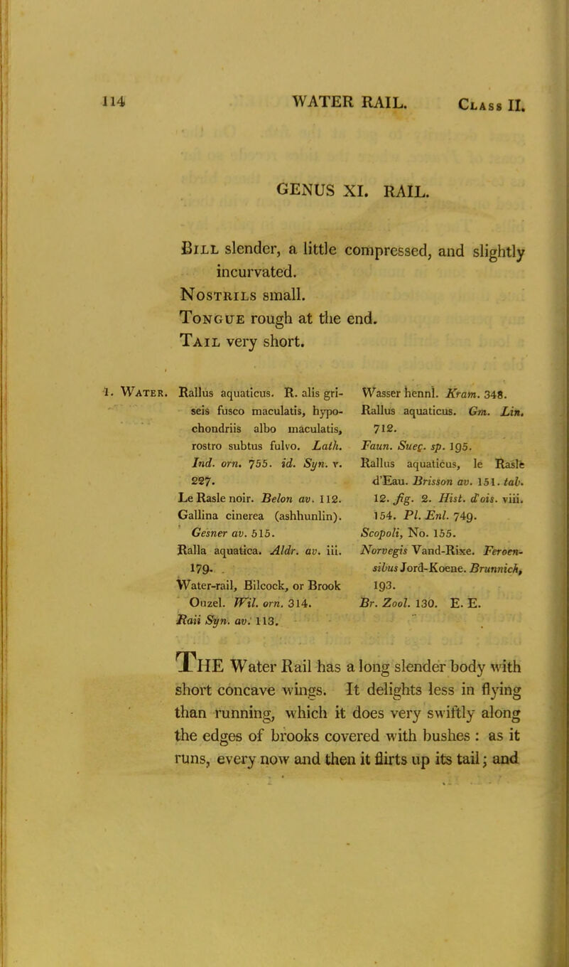 GENUS XI. RAIL. Bill slender, a little compressed, and slightly incurvated. Nostrils small. Tongue rough at the end. Tail very short. 1. Water. Rallus aquaticus. R. alis gri- seis fusco maculatis, hypo- chondriis albo maculatis, rostro subtus fulvo. Lath. Ind. orn. 755. id. Syn. v. 227. LeRaslenoir. Belon av. 112. Gallina cinerea (ashhunlin). Gesner av. 515. Ralla aquatica. Aldr. av. iii. 179- Water-rail, Bilcock, or Brook Ouzel. Wil. orn. 314. Itaii Syn. av. 113. Wasser hennl. Kram. 348. Rallus aquaticus. Gm. Lin. 712. Faun. SueQ. sp. 1Q5. Rallus aquaticus, le Rasle d'Eau. Brisson av. 151. tab. 12. Jig. 2. Hist. dois. viii. 154. PI. Enl. 749. Scopoli, No. 155. Norvegis Vand-Rixe. Feroen- iiiw Jord-Koene. Brunnick, 193. Br. Zool. 130. E. E. The Water Rail has a long slender body with short concave things. It delights less in flying than running, which it does very swiftly along the edges of brooks covered with bushes : as it runs, every now and then it flirts up its tail; and