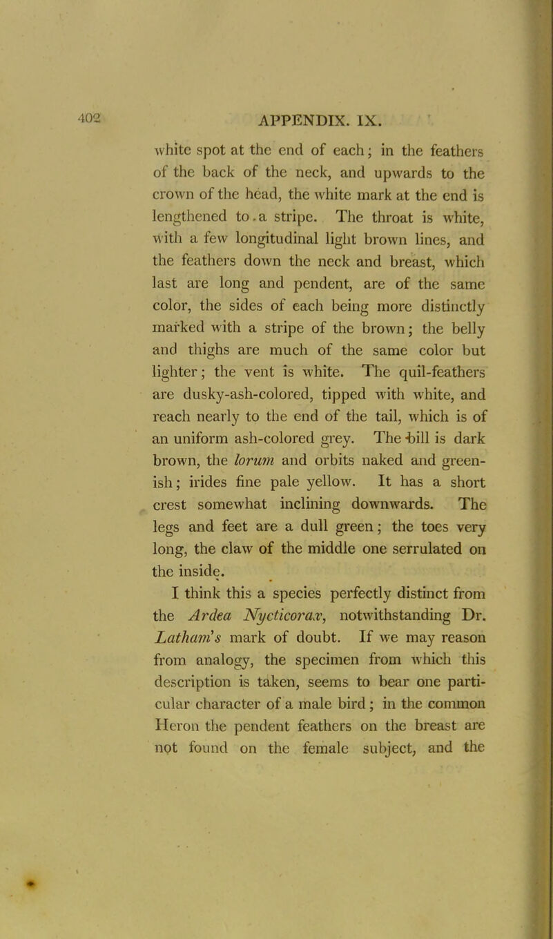 white spot at the end of each; in the feathers of the back of the neck, and upwards to the crown of the head, the white mark at the end is lengthened to.a stripe. The throat is white, with a few longitudinal light brown lines, and the feathers down the neck and breast, which last are long and pendent, are of the same color, the sides of each being more distinctly marked with a stripe of the brown; the belly and thighs are much of the same color but lighter; the vent is white. The quil-feathers are dusky-ash-colored, tipped with white, and reach nearly to the end of the tail, which is of an uniform ash-colored grey. The -bill is dark brown, the lorum and orbits naked and green- ish; irides fine pale yellow. It has a short crest somewhat inclining downwards. The legs and feet are a dull green; the toes very long, the claw of the middle one serrulated on the inside. I think this a species perfectly distinct from the Ardea Nyctlcorax, notwithstanding Dr. Latham's mark of doubt. If we may reason from analogy, the specimen from which this description is taken, seems to bear one parti- cular character of a male bird; in the common Heron the pendent feathers on the breast are not found on the female subject, and the