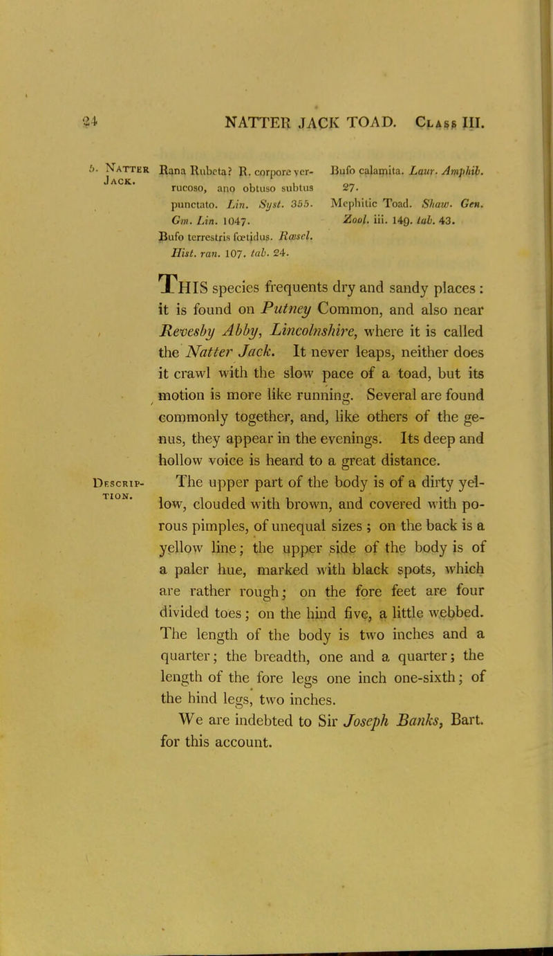 NATTER JACK TOAD. Cla^p JII. TION. b. Natter Rana Rubcta? R. corpore vcr- Bufo calamita./.owr. Jack. , , rucoso, ano obtuso subtus 27- punctato. Lin. Sysl. 355. Mcphitic Toad. Shaw. Gen. Gm. Lin. 104?. Zool. iii, 149. lab. 43. Pufo tcrrestris foeticlus. Rcescl. Hist. ran. IO7. tub. 24. This species frequents dry and sandy places : it is found on Putney Common, and also near Re'oesby Abby, Lincolnshire, where it is called the Natter Jack. It never leaps, neither does it crawl with the slow pace of a toad, but its motion is more like running. Several are found commonly together, and, like others of the ge- nus, they appear in the evenings. Its deep and hollow voice is heard to a great distance. Df.scrip- The upper part of the body is of a dirty yel- low, clouded with brown, and covered with po- rous pimples, of unequal sizes ; on the back is a yellow line; the upper side of the body is of a paler hue, marked with black spots, which are rather rough; on the fore feet are four divided toes; on the hmd five, a little webbed. The length of the body is two inches and a quarter; the breadth, one and a quarter; the length of the fore legs one inch one-sixth; of the hind legs, two inches. We are indebted to Sir Joseph Banks, Bart, for this account.