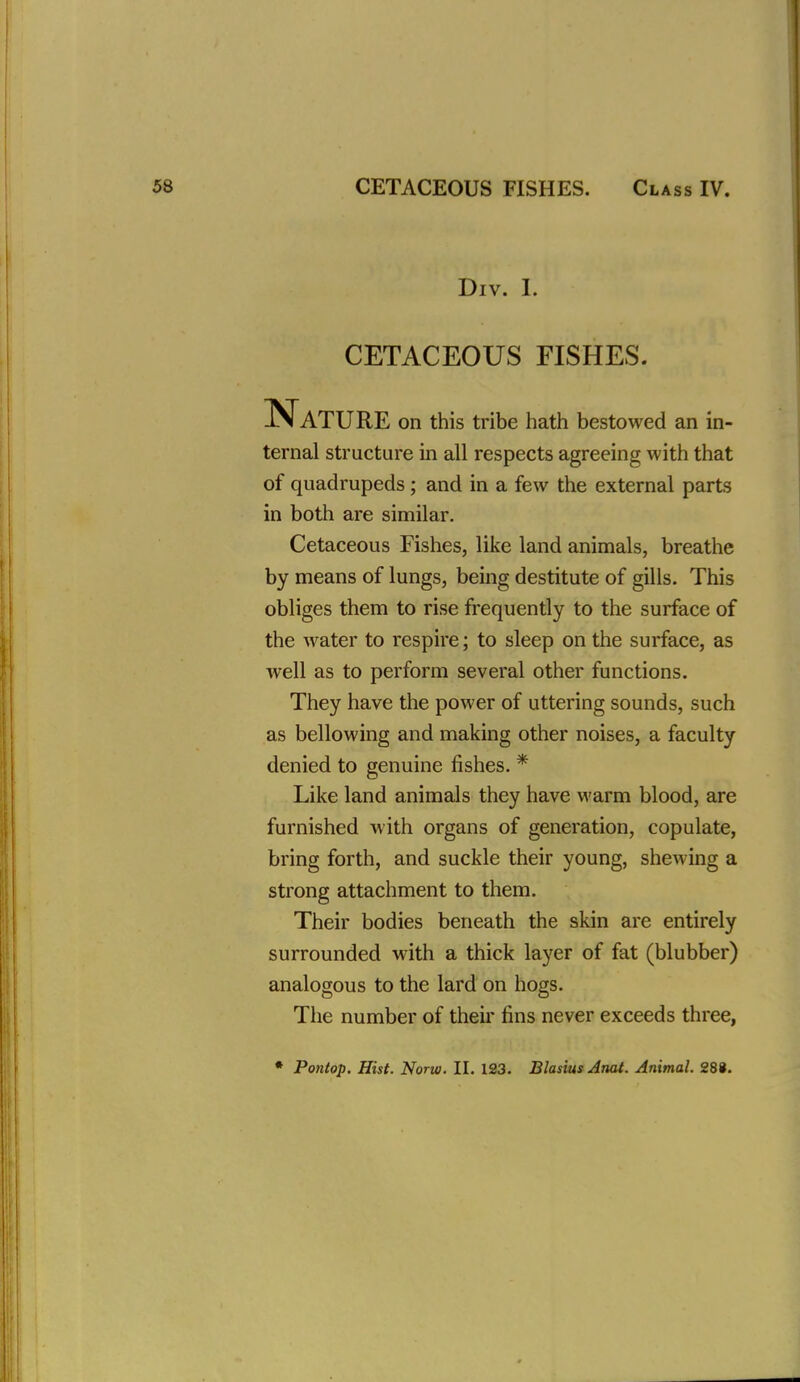 Div. I. CETACEOUS FISHES. Nature on this tribe iiatli bestowed an in- ternal structure in all respects agreeing with that of quadrupeds; and in a few the external parts in both are similar. Cetaceous Fishes, like land animals, breathe by means of lungs, being destitute of gills. This obliges them to rise frequently to the surface of the water to respire; to sleep on the surface, as well as to perform several other functions. They have the power of uttering sounds, such as bellowing and making other noises, a faculty denied to genuine fishes. * Like land animals they have M'arm blood, are furnished with organs of generation, copulate, bring forth, and suckle their young, shewing a strong attachment to them. Their bodies beneath the skin are entirely surrounded with a thick layer of fat (blubber) analogous to the lard on hogs. The number of their fins never exceeds three,