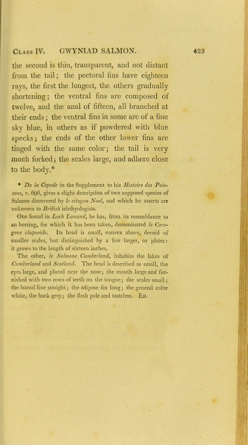 the second is thin, transparent, and not distant from the tail; the pectoral fins have eighteen twelve, and tlie anal of fifteen, all branched at their ends; the ventral fins in some are of a fine much forked; the scales large, and adhere close to the body.* * De la Cepede in the Supplement to his Histoire des Pois' sons, V. 6q6, gives a slight description of two supposed species of Salmon discovered by le citoyen Noel, and which he asserts are unknown to British ichthyologists. One found in Loch Lomond, he has, ffom its resemblance to an herring, for which it has been taken, denominated le Core- gone clupeoide. Its head is small, convex above, devoid of smaller scales, but distinguished by a few larger, or plates: it grows to the length of sixteen inches. The other, le Salmone Cumberland, inhabits the lakes of Ciimlerland and Scotland. The head is described as small, the eyes large, and placed near the nosej the mouth large and fur- nished with two rows of teeth on the tongue; the scales small; the lateral line straight; the adipose fin long; the general color white, the back grey; the flesh pale and tasteless. Ed.