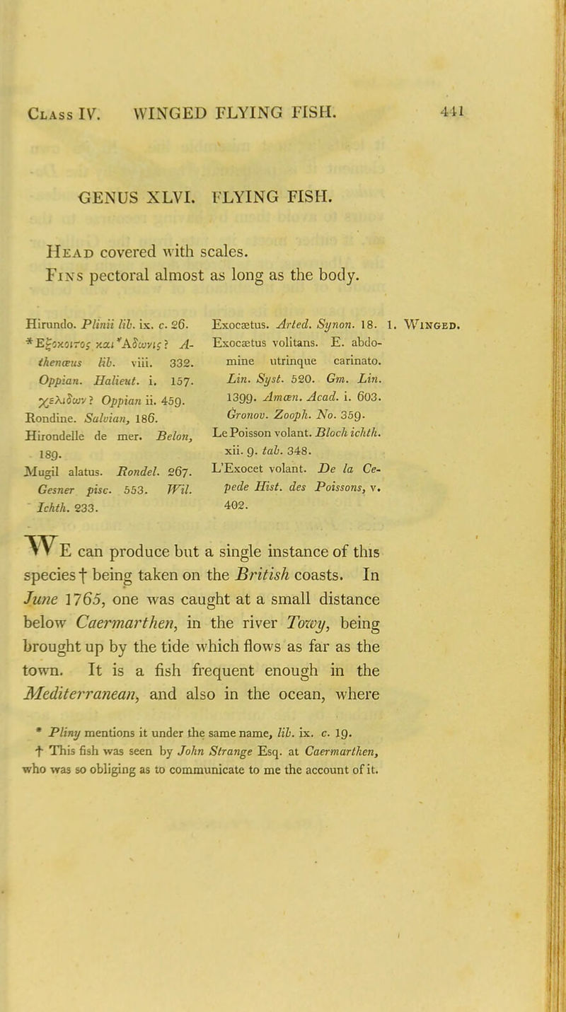 GENUS XLVI. FLYING FISH. Head covered with scales. Fins pectoral almost as long as the body. Hirundo. Plinii lib. ix. c. 26. *E^oxoitosx.a.i''ASujvis} A- thencBUs lib. viii. 332. Oppian. Halieut. i. 157. ^eXiSwv ? Oppian ii. 459- Rondine. Suluian, 186. Hirondelle de mer. Belon, m. Mugil alatus. Rondel. 267. Cesner pise. 553. Wil.  Ichth. 233. Exocsetus. Arted. Synon. 18. 1. Winged. Exocaetus volitans. E. abdo- mine iitrinque carlnato. Lin. Syst. 520. Gm. Lin. 1399. Amcen. Acad. i. 603. Gronov. Zooph. No. 35Q. Le Poisson volant. Block ichth. xii. 9. tab. 348. L'Exocet volant. De la Ce- pede Hist, des Poissons, v. 4G2. can produce but a single instance of this species t being taken on the British coasts. In Jicne 1765, one was caught at a small distance below Caermarthen, in the river Toxvy, being brought up by the tide which flows as far as the town. It is a fish frequent enough in the Mediterranean^ and also in the ocean, where • Pliny mentions it under the same name, lib. ix. c. I9. t This fish was seen by John Strange Esq. at Caermarthen, who was so obliging as to communicate to me the account of it.