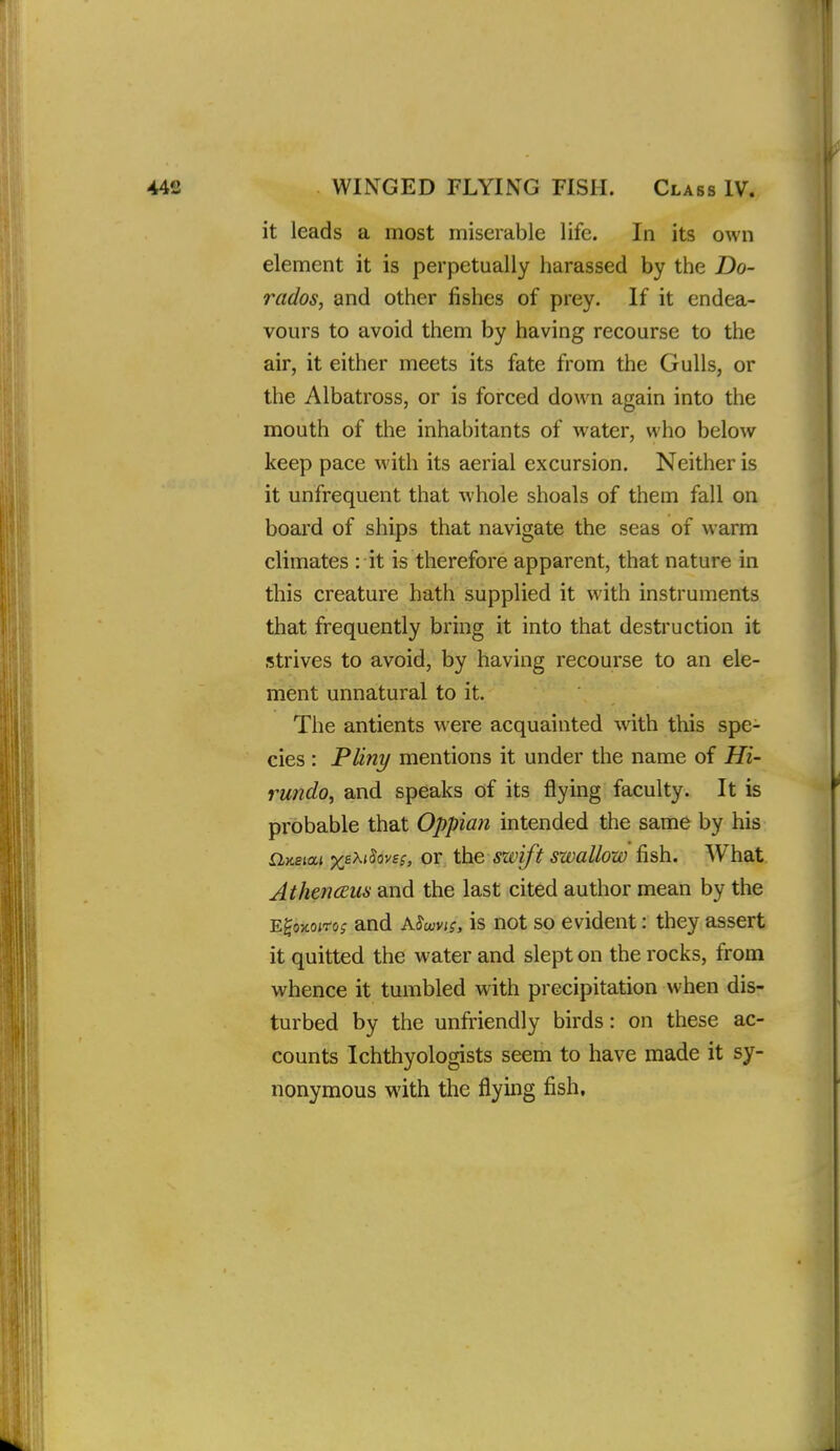 it leads a most miserable life. In its own element it is perpetually harassed by the Do- rados, and other fishes of prey. If it endea- vours to avoid them by having recourse to the air, it either meets its fate from the Gulls, or the Albatross, or is forced down again into the mouth of the inhabitants of water, who below keep pace with its aerial excursion. Neither is it unfrequent that whole shoals of them fall on board of ships that navigate the seas of warm climates : it is therefore apparent, that nature in this creature hath supplied it with instruments that frequently bring it into that destruction it strives to avoid, by having recourse to an ele- ment unnatural to it. The antients were acquainted with this spe- cies : Pliny mentions it under the name of Hi- rundo, and speaks of its flying faculty. It is probable that Oppian intended the same by his iijteia* %eX(5oy£f, or the, swift swallow fish. What AthencEus and the last cited author mean by the E^oTcoiTo; and ASwvti, is not so evident: they assert it quitted the water and slept on the rocks, from whence it tumbled with precipitation when dis- turbed by the unfriendly birds: on these ac- counts Ichthyologists seem to have made it sy- nonymous with the flying fish,
