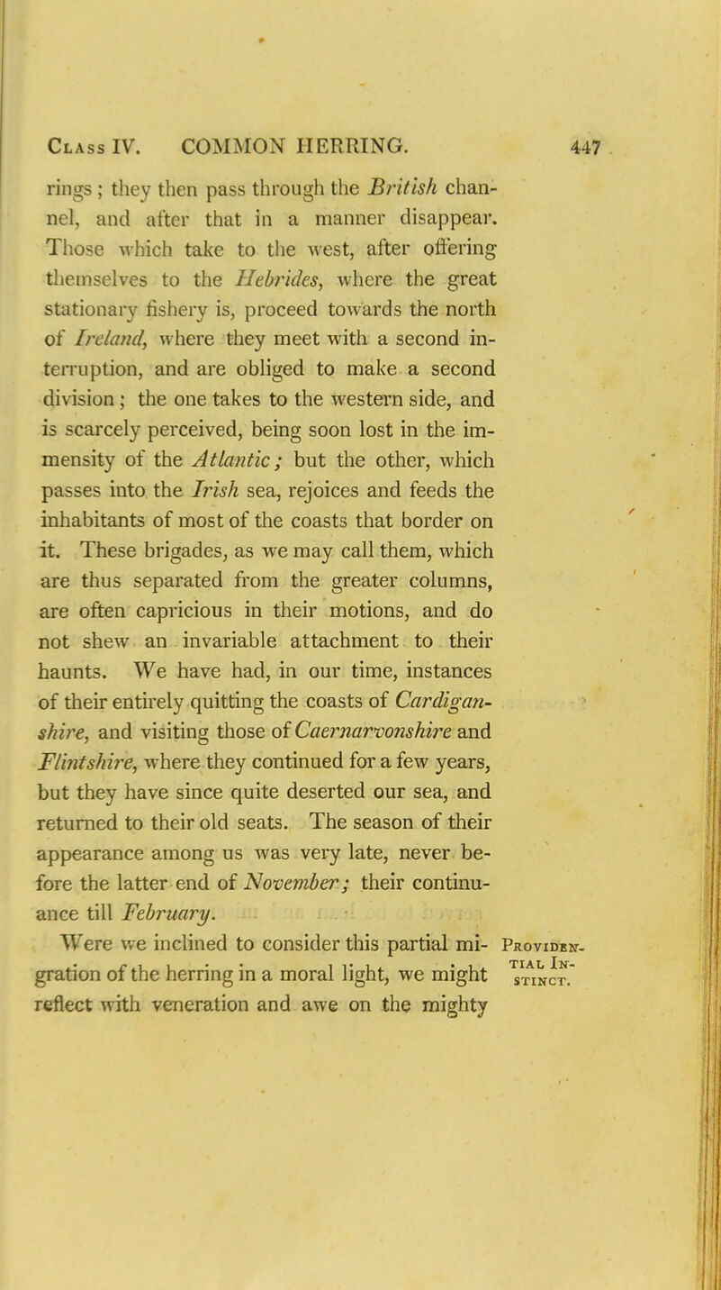 rings ; they then pass through the British chan- nel, and after that in a manner disappear. Those which take to the west, after oflering themselves to the Hebrides, where the great stationary fishery is, proceed towards the north of Ireland, where they meet with a second in- terruption, and are obliged to make a second division; the one takes to the western side, and is scarcely perceived, being soon lost in the im- mensity of the Atlantic; but the other, which passes into the Irish sea, rejoices and feeds the inhabitants of most of the coasts that border on it. These brigades, as we may call them, which are thus separated fi'om the greater columns, are often capricious in their motions, and do not shew an invariable attachment to their haunts. We have had, in our time, instances of their entirely quitting the coasts of Cardigan- shire, and visiting those of Caernarvonshire and Flintshire, where they continued for a few years, but they have since quite deserted our sea, and returned to their old seats. The season of their appearance among us was very late, never be- fore the latter end of November; their continu- ance till February. Were we inclined to consider this partial mi- Providbkt- gration of the herring in a moral light, we might Ytinct. reflect with veneration and awe on the mighty