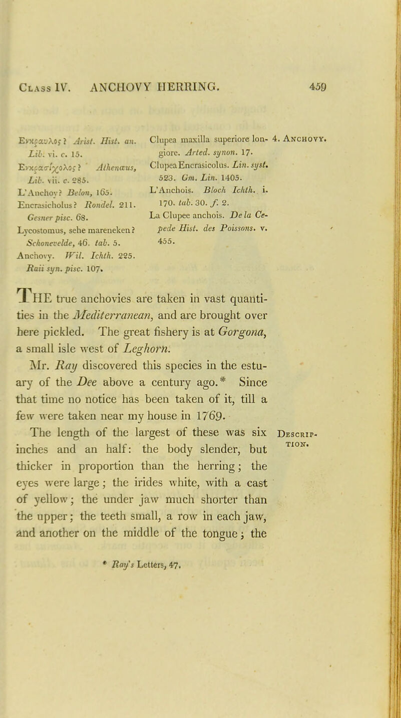 EvxfayXoy? Arist. Hist. an. Lib. vi. c. 15. 'EvK^T.u-t^oXo; ? Alhenaus, Lib. vli. c 285. L'Anchoy? Belon, \Qb. Encrasicholus ? Rondel. 211. Gesne-r pise. 68. Lycostomus, sehe mareneken ? Schonevelde, 46. tab. 5. Anchovy. TFil. Ichtk. 225. Rail st/n. pise. 107. Cliipea maxilla superiore Ion- 4. Anchovy. giore. Arted. synon. 17. ClupeaEncrasicolus. Lin. syst, 523. Urn. Lin. 1405. L'Aiichois. Block Icluh. i. 170. tab. 30. /. 2. La Clupee anchois. De /a Cf- pefi^e ifii'/. des Poissons. v. 455, The true anchovies are taken in vast quanti- ties in the Mediterraiiean, and are brought over here pickled. The great fishery is at Gorgona^ a small isle west of Leghorn. Mr. Ray discovered this species in the estu- ary of the Dee above a century ago. * Since that time no notice has been taken of it, till a few were taken near my house in 1769. The length of the largest of these was six Descrip- inches and an half: the body slender, but thicker in proportion than the herring; the eyes were large; the irides white, with a cast of yellow; the under jaw much shorter than the upper; the teeth small, a row in each jaw, and another on the middle of the tongue j the TIOKT. * Rays Letters, 47.