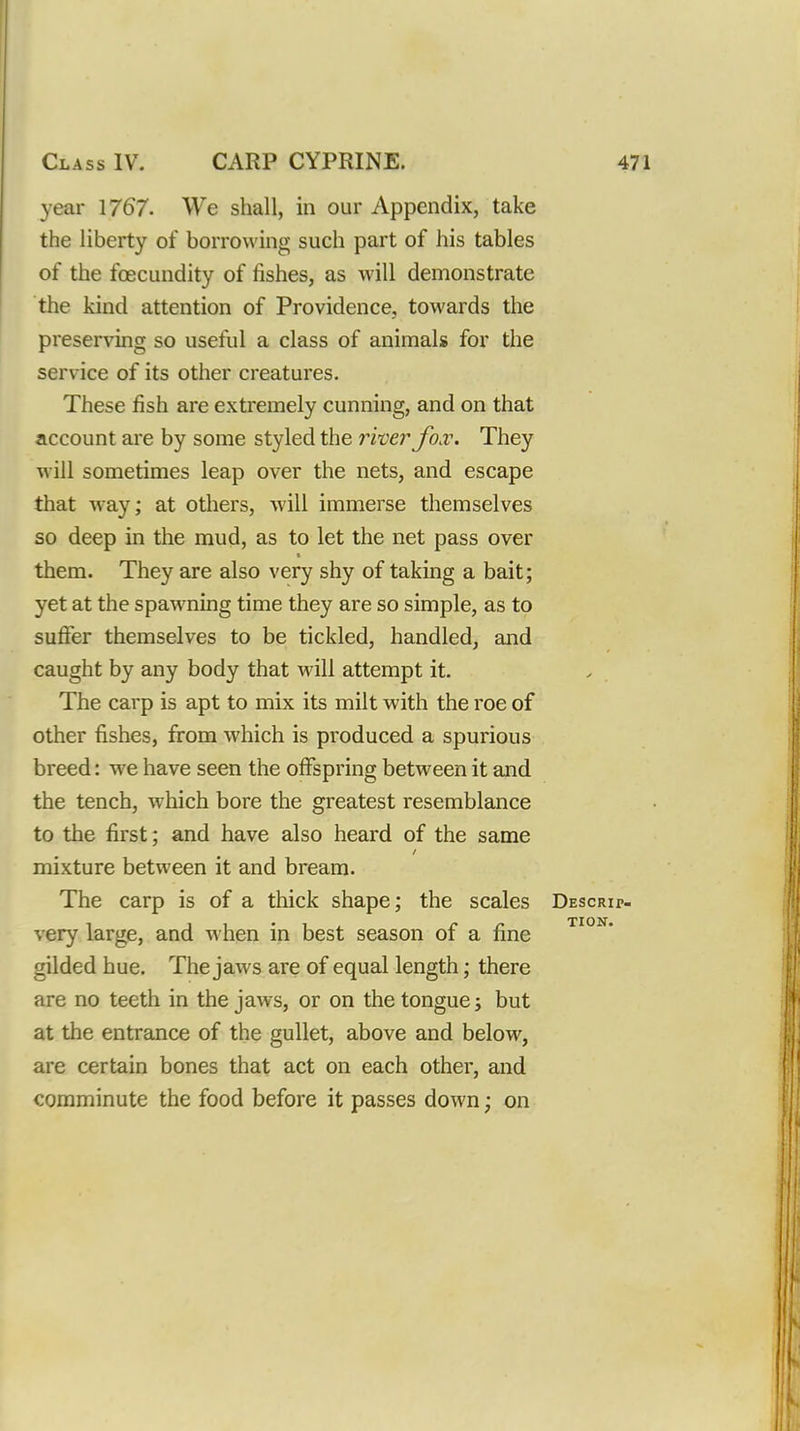year 1767- We shall, in our Appendix, take the liberty of borrowing such part of his tables of the foecundity of fishes, as will demonstrate the kind attention of Providence, towards the preserving so useful a class of animals for the service of its other creatures. These fish are extremely cunning, and on that account are by some styled the river Jo.v. They will sometimes leap over the nets, and escape that way; at others, will immerse themselves so deep in the mud, as to let the net pass over them. They are also very shy of taking a bait; yet at the spawning time they are so simple, as to sufier themselves to be tickled, handled, and caught by any body that will attempt it. The carp is apt to mix its milt with the roe of other fishes, from which is produced a spurious breed: we have seen the offspring between it and the tench, which bore the greatest resemblance to the first; and have also heard of the same mixture between it and bream. The carp is of a thick shape; the scales Descri very large, and when in best season of a fine gilded hue. The jaws are of equal length; there are no teeth in the jaws, or on the tongue j but at the entrance of the gullet, above and below, are certain bones that act on each other, and comminute the food before it passes down; on