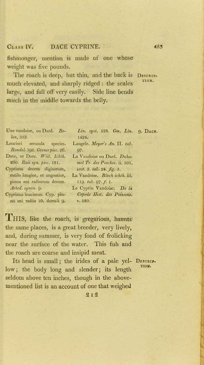 fishmonger, mention is made of one whose weight was five pounds. The roach is deep, but thin, and the back is Descrip- much elevated, and sharply ridged : the scales ^'°^* large, and fall off very easily. Side line bends much in the middle towards the belly. Une vandoise, ou Dard. Be- lon, 313. Leucisci secunda species. Rondel. I92. Gesnerpisc. 26. Dace, or Dare. Will. Ichth. 260. Itaii syn. pise. 121. Cyprinus decern digitorum, rutilo longior, et angustior, pinna ani radiorum decern. Arted. synon. 9. Cyprinus leuciscus. Cyp. pin- na ani radiis 10. doisali Q. Lin. syst. 528. Gm. Lin. 1424. Laugele. Meyer's An. II. tab. 97. La Vandoise ou Dard. Duha- mel Tr. des Pesches. ii. 501. sect. 3. tab. 2^. Jig. 3. La Vandoise. Block ichth. iii. 119. tab. 97./. 1. Le Cyprin Vandoise. De la Cepede Hist, des Poissohs. V. 580. This, like the roach, is gregarious, hawntS' the same places, is a great breeder, very lively, and, during summer, is very fond of frolicking near the surface of the water. This fish and the roach are coarse and insipid meat. Its head is small; the irides of a pale yel- Descrip- iow; the body long and slender; its length seldom above ten inches, though in the above- mentioned list is an account of one that weighed 2 i2!