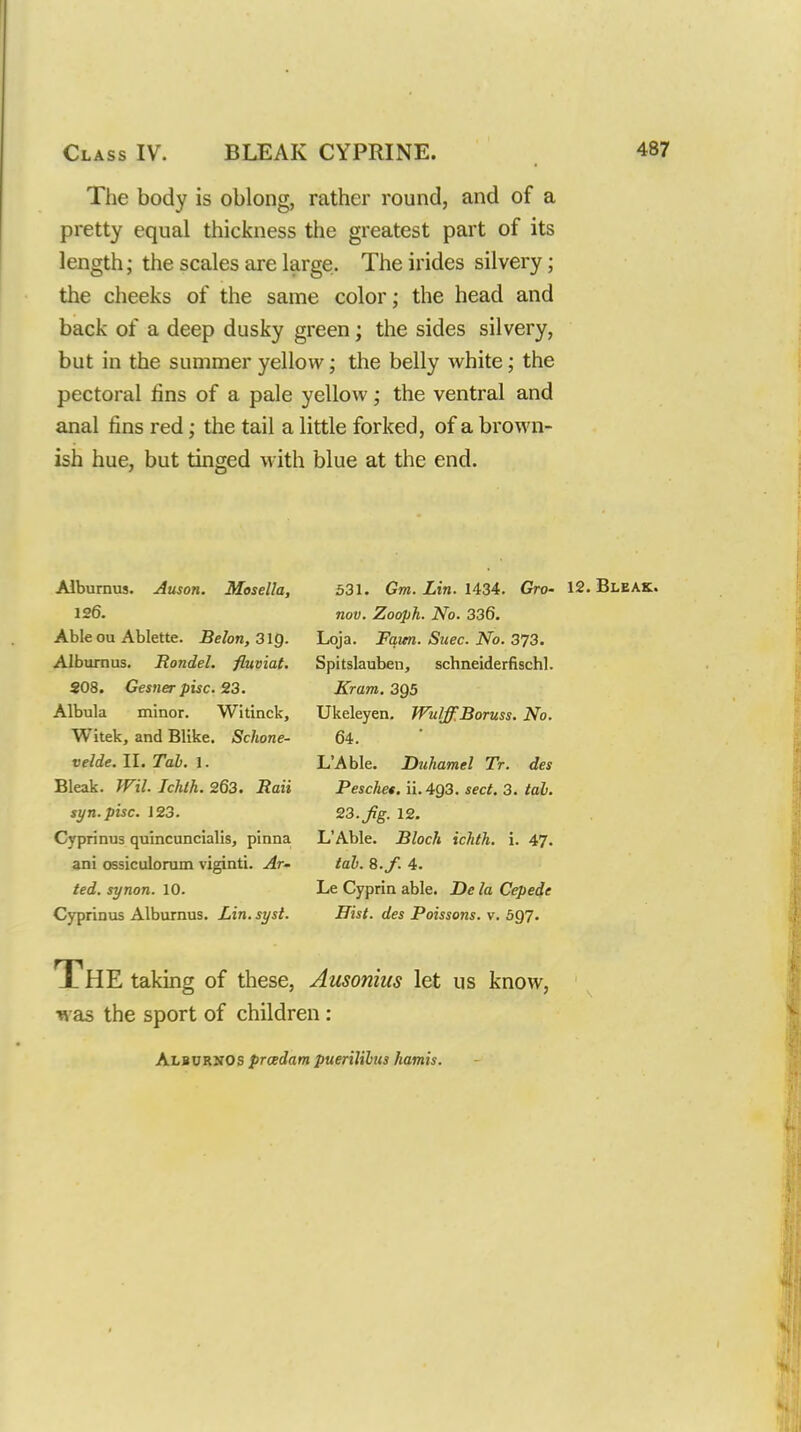 The body is oblong, rather round, and of a pretty equal thickness the greatest part of its length; the scales are large. The irides silvery; the cheeks of the same color; the head and back of a deep dusky green; the sides silvery, but in the summer yellow; the belly white; the pectoral tins of a pale yellow; the ventral and anal fins red; the tail a little forked, of a brown- ish hue, but tinged with blue at the end. Albumus. Auson. Mosella, 126. Able ou Ablette. Belon, 31Q. Alburnus, Rondel, fiuviat. SOS. Gesner pise. 23. Albula minor. Witinck, Witek, and Blike. Sclione- velde. II. Tab. 1. Bleak. Wil. Ichih. 263. Raii syn.pisc. J 23. Cyprinus quincuncialis, pinna ani ossiculoram viginti. Ar- ted. synon. 10. Cyprinus Alburnus. Lin. syst. The taking of these, was the sport of childr 531. Gm. Lin. 1434. Gro- 12. Bleak. nov. Zooph. No. 336. Loja. Faun. Suec. No. 373. Spitslauben, schneiderfischl. Kram. 3Q5 Ukeleyen. WulffBoruss. No. 64. LAble. Duhamel Tr. des Peschet. ii.493. sect. 3. taL. 23. fg. 12. L'Able. Bloch ichth. i. 47. tab. 8.f. 4. Le Cyprin able. De la Cepede Hist, des Poissons. v. 597. Ausonius let us know, Alburnos prcedam pueriJilus hamis.