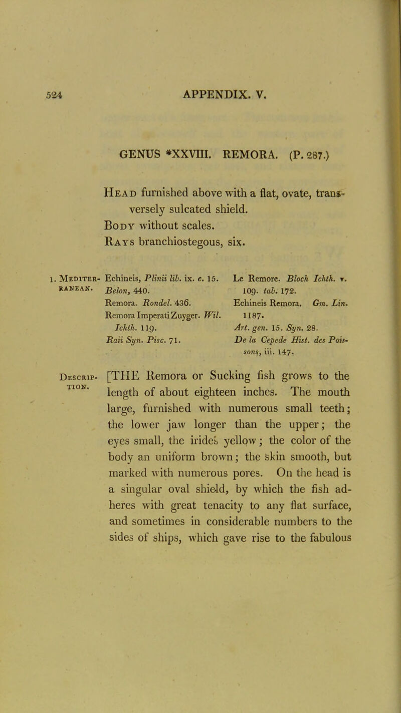 GENUS *XXVIII. REMORA. (P. 287.) Head furnished above with a flat, ovate, tranj- versely sulcated shield. Body without scales. Rays branchiostegous, six. 1. Mediter- Echineis, Plinii lib. ix. c. 15. Le Remorc. Block Ichth. t. RANEAN. Belon, 440. IO9. tab. 172. Remora. Rondel. 436. Echineis Remora. Gm. Lin. Remora Imperati Zuyger. Wil. 1187. Jchth. lig. Art. gen. 15. Syn. 28. Raii Syn. Pise. 71. De la Cepede Hist, des Pais- sons, in. 147, Descrip- [THE Remora or Sucking fish grows to the length of about eighteen inches. The mouth large, furnished with numerous small teeth; the lower jaw longer than the upper; the eyes small, the iridei, yellow; the color of the body an uniform brown; the skin smooth, but marked with numerous pores. On the head is a singular oval shield, by which the fish ad- heres with great tenacity to any flat surface, and sometimes in considerable numbers to the sides of ships, which gave rise to the fabulous