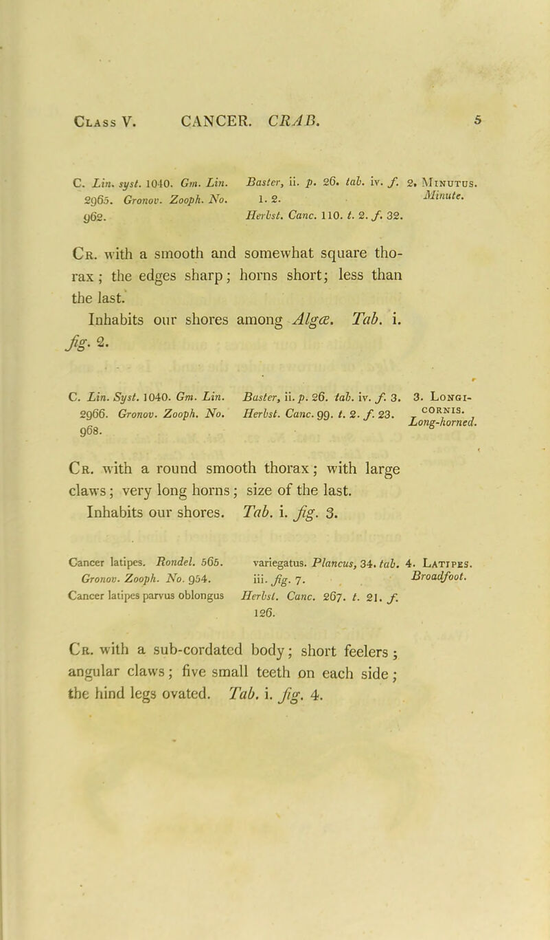 C. Lin. syst. 1040. Gm. Lin. Baster, ii. p. 26. tab. iv. /. 2. Minutus. 2965. Gronov. Zooph. No. 1.2. Minute. yte. Herbst. Cane. 110. 2. /. 32. Cr. with a smooth and somewhat square tho- rax ; the edges sharp; horns short; less than the last. Inhabits our shores among Algce. Tab. i. C. Lin. Syst. 1040. Gm. Lin. Baster, ii. p. 26. tab. iv. f. 3. 3. Longx- 2Q66. Gronov. Zooph. No. Herbst. Cane. QQ. t. 2. f. 23. r C0R7NIS- , Long-horned. 968. Cr. with a round smooth thorax; with large claws ; very long horns; size of the last. Inhabits our shores. Tab. i. Jig. 3. Cancer latipes. Rondel. 565. variegatus. Plancus, 34. tab. 4. Latipes. Gronov. Zooph. No. Q54. iii. Jig. 7. Broadfoot. Cancer latipes parvus oblongus Herbst. Cane. 267. t. 21. J. 126. Cr. with a sub-cordated body; short feelers; angular claws; five small teeth on each side ;