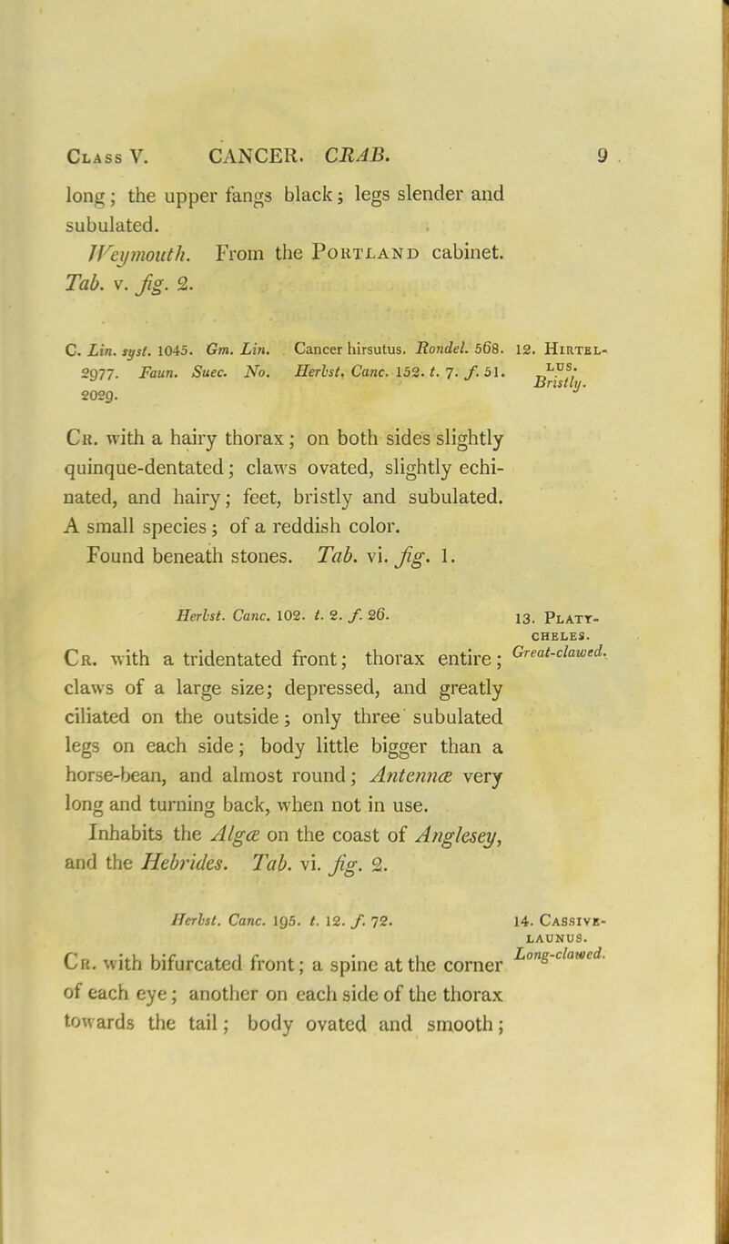 long; the upper fangs black; legs slender and subulated. Weymouth. From the Portland cabinet. Tab. v. Jig. 2. C. Lin. syst. 1045. Gm. Lin. Cancer hirsutus. Rondel. 568. 12. Hirtel- 2077. Faun. Suec. No. Herhst. Cane. 152. t. 7. f. 51. _,L.DS: Bristly. 202C). Cr. with a hairy thorax; on both sides slightly quinque-dentated; claws ovated, slightly echi- nated, and hairy; feet, bristly and subulated. A small species; of a reddish color. Found beneath stones. Tab. vi. Jig. I. Herlst. Cane. 102. t. 2. /. 26. 13. Platt- CHELES. Cr. with a tridentated front; thorax entire; Great-C^ed- claws of a large size; depressed, and greatly ciliated on the outside; only three subulated legs on each side; body little bigger than a horse-bean, and almost round; Antennce very long and turning back, when not in use. Inhabits the Alga on the coast of Anglesey, and the Hebrides. Tab. vi. Jig. 2. Herlst. Cane. 105. /. 12. /. 72- 14. Cassive- LAUNUS. Cr. with bifurcated front; a spine at the corner Lons-clawed- of each eye; another on each side of the thorax towards the tail; body ovated and smooth;