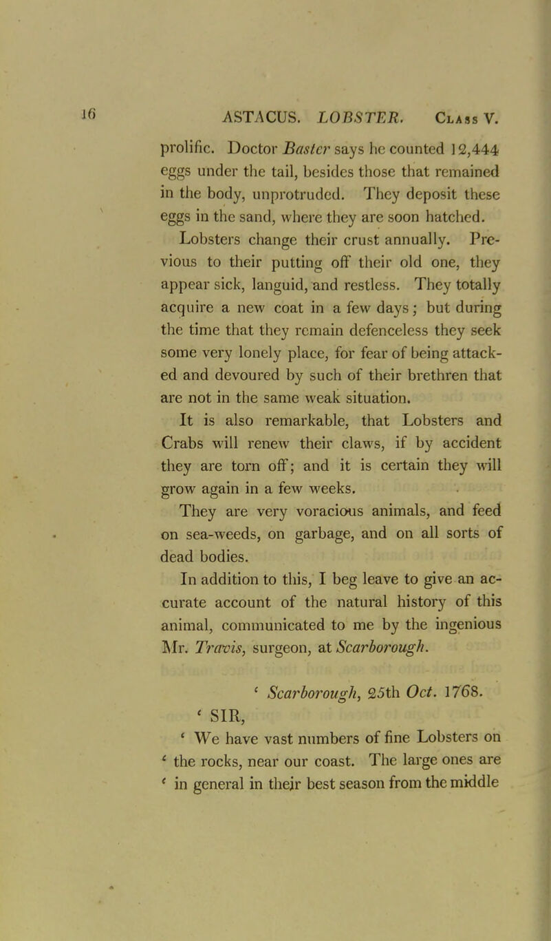 prolific. Doctor Bastcr says he counted 12,444 eggs under the tail, besides those that remained in the body, unprotruded. They deposit these eggs in the sand, where they are soon hatched. Lobsters change their crust annually. Pre- vious to their putting off their old one, they appear sick, languid, and restless. They totally acquire a new coat in a few days; but during the time that they remain defenceless they seek some very lonely place, for fear of being attack- ed and devoured by such of their brethren that are not in the same weak situation. It is also remarkable, that Lobsters and Crabs will renew their claws, if by accident they are torn off; and it is certain they will grow again in a few weeks. They are very voracious animals, and feed on sea-weeds, on garbage, and on all sorts of dead bodies. In addition to this, I beg leave to give an ac- curate account of the natural history of this animal, communicated to me by the ingenious Mr. Travis, surgeon, at Scarborough. ' Scarborough, 25th Oct. 1768. ' SIR, ' We have vast numbers of fine Lobsters on ' the rocks, near our coast. The large ones are * in general in their best season from the middle