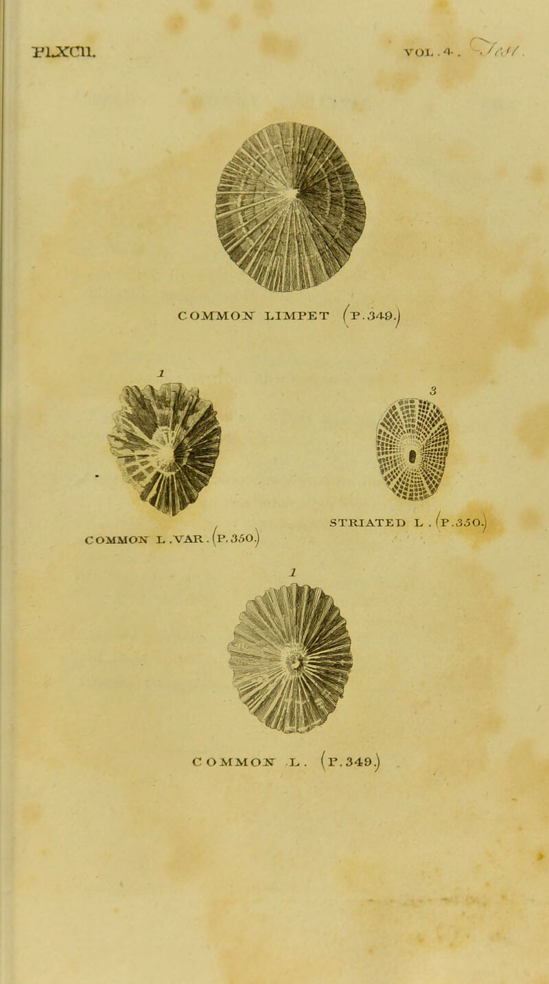 1JLXC11. voi. C OMMOiT L . (f.349.)