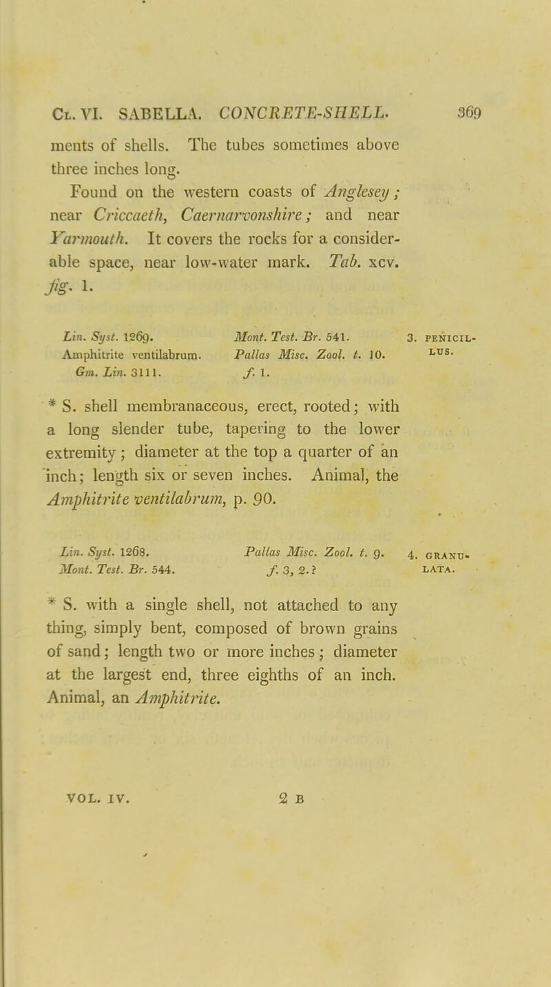 mcnts of shells. The tubes sometimes above three inches long. Found on the western coasts of Anglesey; near Criccaeth, Caernarvonshire; and near Yarmouth. It covers the rocks for a consider- able space, near low-water mark. Tab. xcv. fig- *• Lin. Syst. 126g. Mont. Test. Br. 541. 3. penicil- Amphitrite ventilabrum. Pallas Misc. Zool. t. JO. LUS> Gm. Lin. 3111. f.\. * S. shell membranaceous, erect, rooted; with a long slender tube, tapering to the lower extremity ; diameter at the top a quarter of an inch: length six or seven inches. Animal, the Amphitrite ventilabrum, p. 90. Lin. Syst. 1268. Pallas Misc. Zool. t. 9. 4, granu- Mont. Test. Br. 544. /. 3, 2. ? lata. * S. with a single shell, not attached to any thing, simply bent, composed of brown grains of sand; length two or more inches ; diameter at the largest end, three eighths of an inch. Animal, an Amphitrite. VOL. IV. 2 B