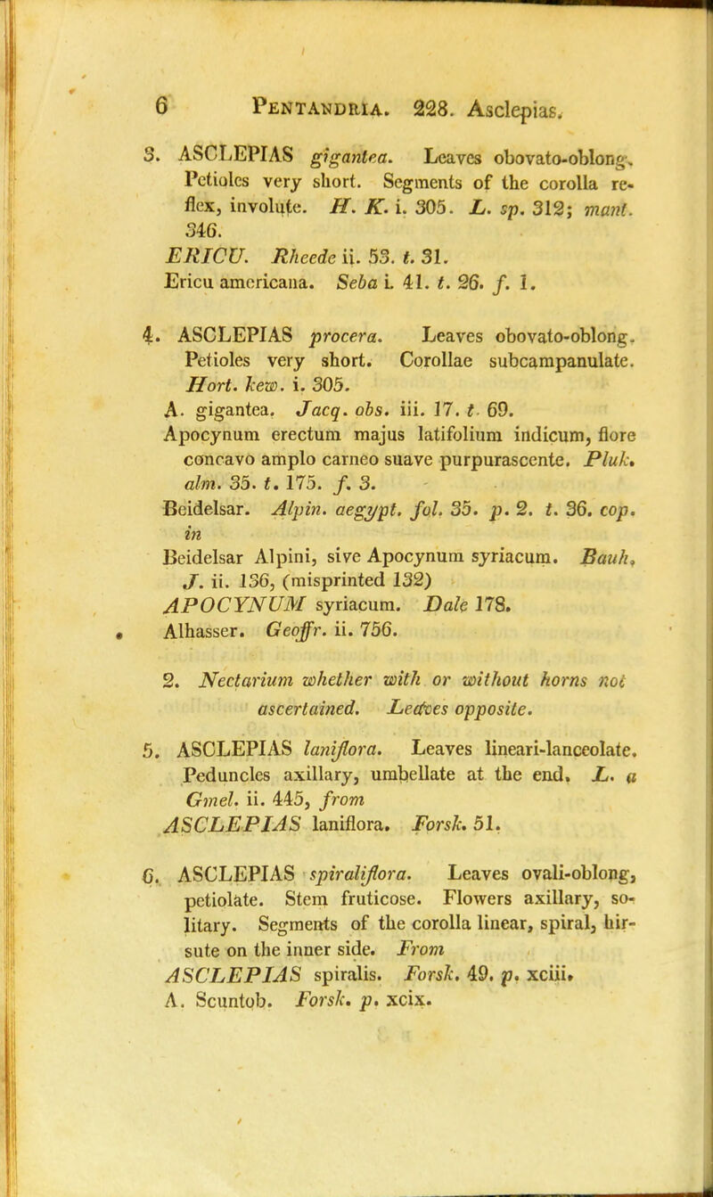 3. ASCLEPIAS giganlea. Leaves obovato-oblong. Petioles very short. Segments of the corolla re- flex, involute. H. K. i. 305. L. sp. 312; mant. 346. ERICU. Rheede ii. 53. t. 31. Ericu americana. Seba L 41. t. 26. /. i. 4. ASCLEPIAS procera. Leaves obovato-oblong. Petioles very short. Corollae subcampanulate. Hort. hew. i. 305. A- gigantea. J acq. obs. iii. 17. t 69. Apocynum erectum majus latifolium indicum, flore concavo amplo cameo suave purpurascente. Pluk» aim. 35. t. 175. /. 3. Beidelsar. Alpin. aegypt. fol. 35. p. 2. t. 36. cop. Beidelsar Alpini, sive Apocynum syriacum. Baulu J. ii. 136, (misprinted 132) APOCYNUM syriacum. Dak 178. Alhasser. Geqffr. ii. 756. 2. Nectarium whether with or without horns not ascertained. Letfces opposite. 5. ASCLEPIAS laniflora. Leaves lineari-lanceolate. Peduncles axillary, umbellate at the end. L. # Gmel. ii. 445, from ASCLEPIAS laniflora. Forsh. 51. 6. ASCLEPIAS spiraliflora. Leaves ovali-oblong, petiolate. Stem fruticose. Flowers axillary, so- litary. Segments of the corolla linear, spiral, hir- sute on the inner side. From ASCLEPIAS spiralis. Forsh. 49. p. xciiw A. Scuntob. Forsk. p. xcix.