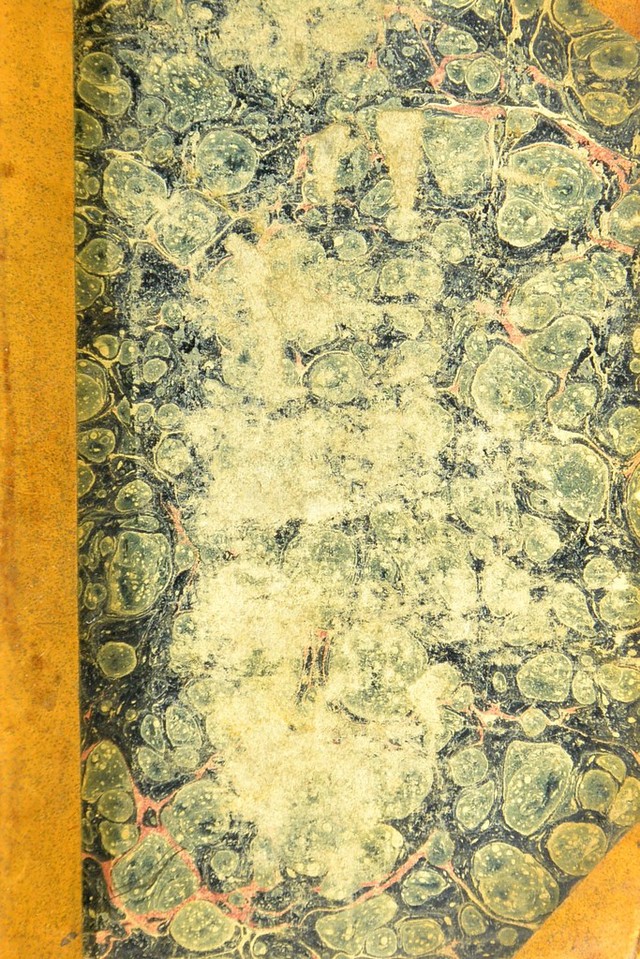 No text description is available for this image