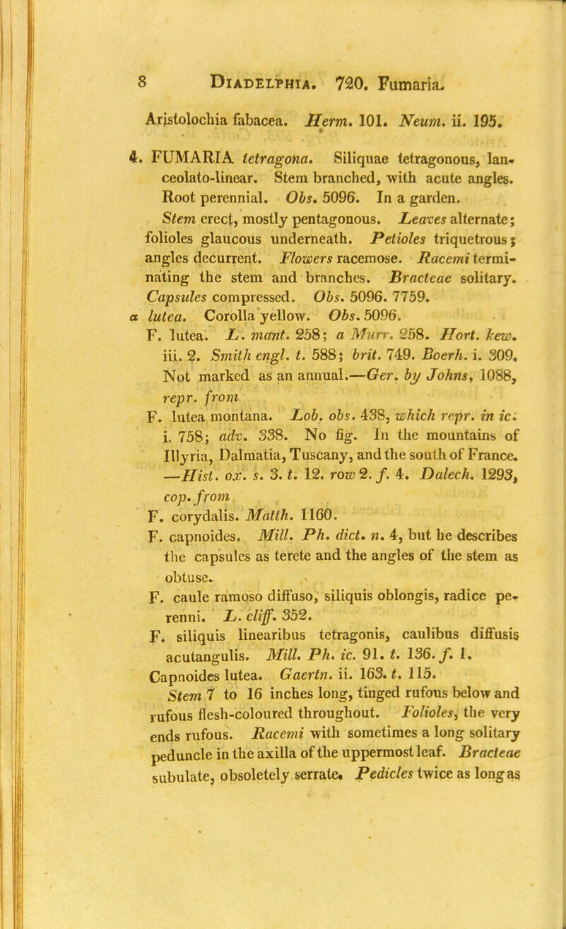Arjslolocliia fabacea. Herm. 101. Neum. ii. 195. 4. FUMARIA tetragona. Siliquae tetragonous, lan- ceolato-linear. Stem branched, with acute angles. Root perennial. Obs. 5096. In a garden. Stem erect, mostly pentagonous. Leaves alternate; folioles glaucous underneath. Petioles triquetrous; angles decurrent. Flowers racemose. Racemi termi- nating the stem and branches. Bracteae solitary. Capsules compressed. Obs. 5096. 7759. a lutea. Corolla yellow. Obs. 5096. F. lutea. L. mant. 258; a Murr. 258. Hort. hew. iii. 2. Smith engl. t. 588; brit. 749. Boerh. i. 309, Not marked as an annual.—Ger. by Johns, 1088, repr. from F. lutea montana. Lob. obs. 438, which repr. in ici i. 758; adv. 338. No fig. In the mountains of Illyria, Dalmatia, Tuscany, and the south of France. —Hist. ox. s. 3. t. 12. row2.f. 4. Dalech. 1293, cop. from F. corydalis. Matth. 1160. F. capnoides. Mill. Ph. diet. n. 4, but he describes the capsules as terete and the angles of the stem as obtuse. F. caule ramqso difFuso, siliquis oblongis, radice pe- renni. L. cliff. 352. F. siliquis linearibus tetragonis, caulibus diffusis acutangulis. Mill. Ph. ic. 91. t. 136. f. I. Capnoides lutea. Gaertn. ii. 163. t. 115. Stem 7 to 16 inches long, tinged rufous below and rufous flesh-coloured throughout. Folioles, the very ends rufous. Racemi with sometimes a long solitary peduncle in the axilla of the uppermost leaf. Bracteae subulate, obsoletely serrate# Pedicles twice as long as.