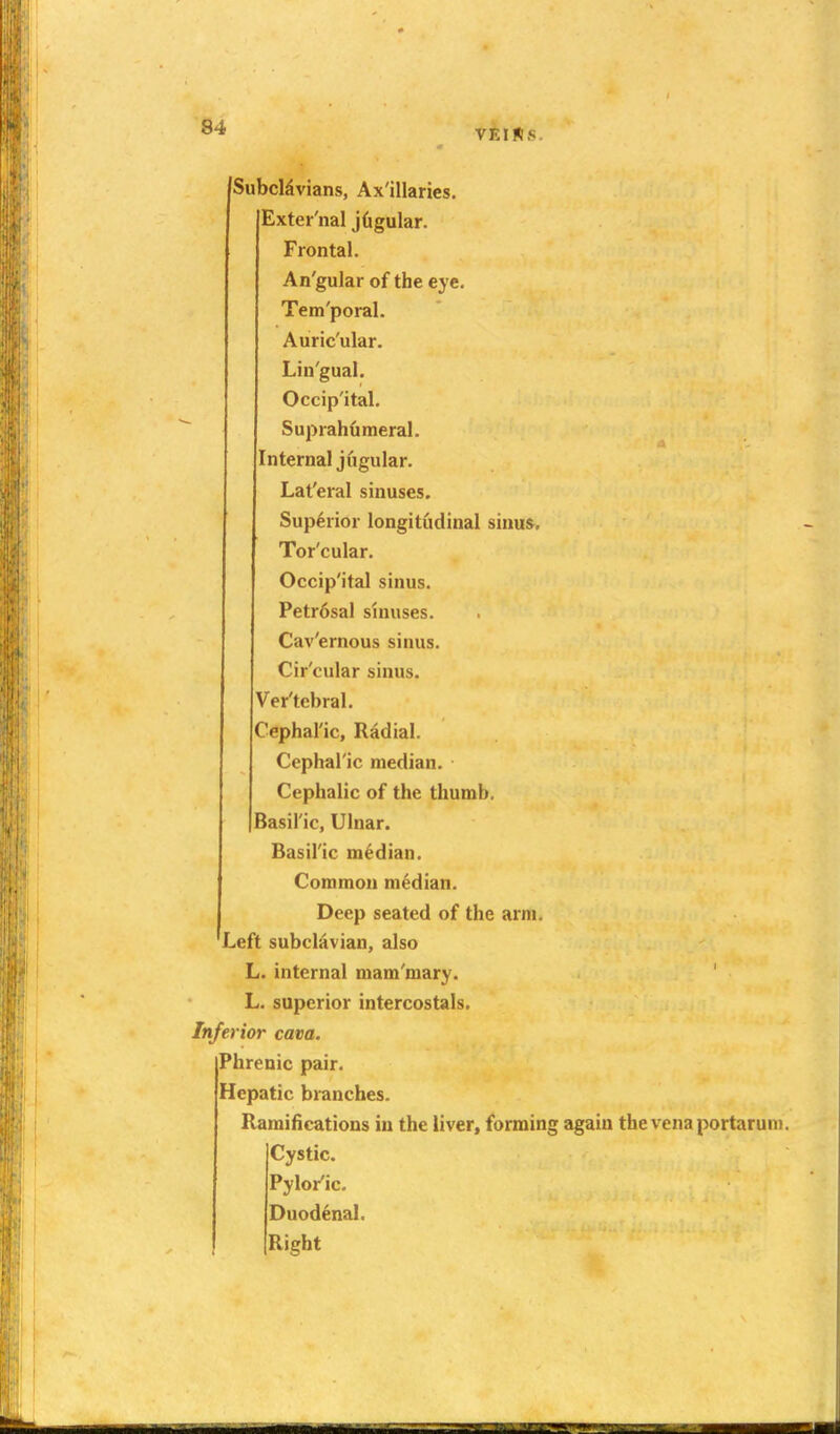 VEIHS. SubcMvians, Ax'illaries. Exter'nal j6gular. Frontal. An'gular of the eye. Tem'poral. Auric'ular. Lin'gual. Occip'ital. Suprahdmeral. Internal jugular. Lat'eral sinuses. Superior longitudinal sinus. Tor'cular. Occip'ital sinus. Petr6sal sinuses. Cav'ernous sinus. Cir'cular sinus. Ver'tebral. Cephal'ic, Radial. Cephal'ic median. Cephalic of the thumb. Basil'ie, Ulnar. Basil'ic median. Common median. Deep seated of the arm. Left subclavian, also L. internal mam'mary. ' L. superior intercostals. Inferior cam. Phrenic pair. Hepatic branches. Ramifications in the liver, forming again the vena portaruni. Cystic. Pylor'ic. Duodenal. Right
