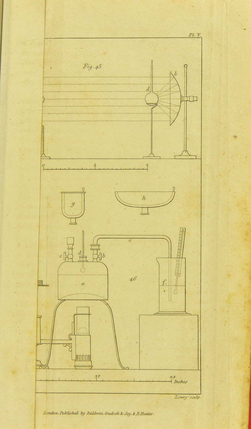 Loruterufuhliilud, In/ BaJdwin.(>adoekkJoy,lcMMunta-.