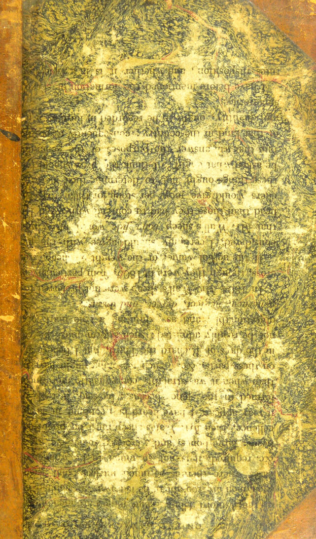 digitised image 1