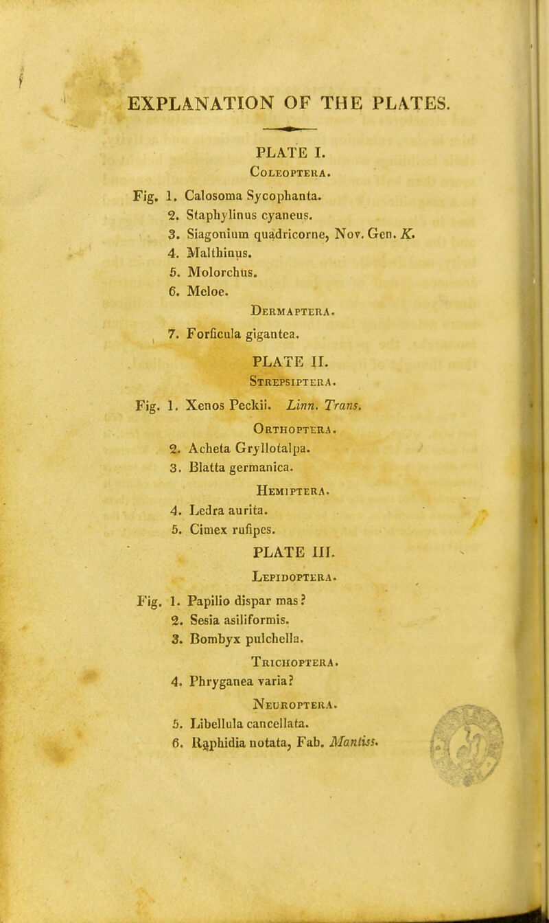 EXPLANATION OF THE PLATES. PLATE I. CoLEOPTERA. Fig. 1. Calosoma Sycophanta. 2. Staphylinus cyaneus. 3. Siagonium quadricorne, Nov. Gen. K. 4. Malthiaus. 5. Molorchus. 6. Meloe. Derma ptera. 7. Forficula gigantca. PLATE II. Strepsiptera. Fig. 1. Xenos Peckii. Linn. Trans. Orthoptera. 2. Acheta Gryllotalpa. 3. Blatta germanica. Hemi ptera. 4. Ledra aurita. 5. Cimex rufipes. PLATE III. Lepidoptera. Fig. 1. Papilio dispar mas ? 2. Sesia asiliformis. 3. Bombyx pulchella. Trichoptera. 4. Phryganea varia? Neuroptera. 5. Libellula cancellafa.