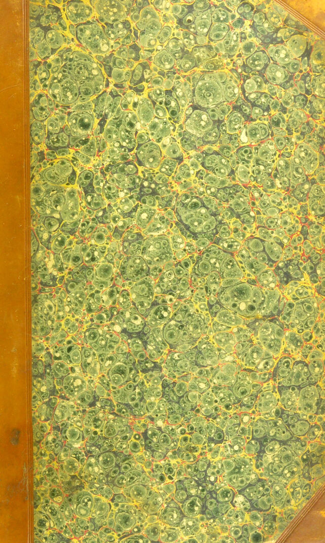 digitised image 1