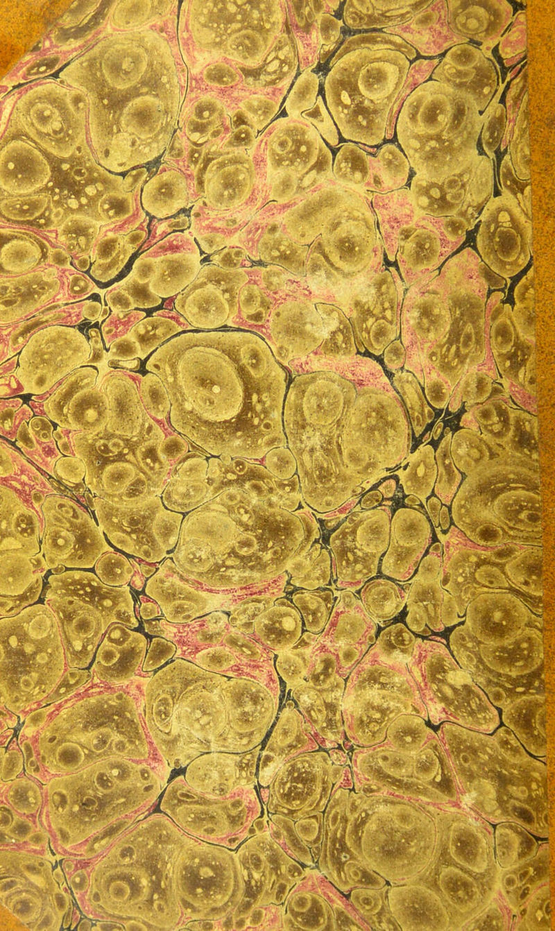 No text description is available for this image