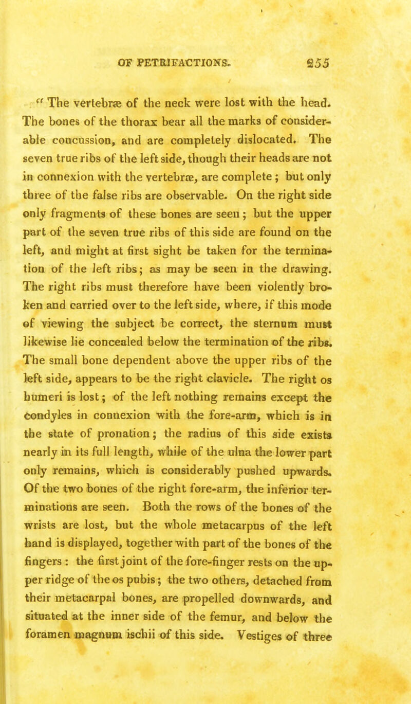  The verlebrje of the neck were lost with the head. The bones of the thorax bear all the marks of consider- able concussion, and are completely dislocated. The seven true ribs of the leftside, though their heads are not in connexion with the vertebrre, are complete; but only three of the false ribs are observable. On the right side only fragments of these bones are seen; but the upper part of the seven true ribs of this side are found on the left, and might at first sight be taken for the terminal tion of the left ribs; as may be seen in the drawing. The right ribs must therefore have been violently bro- ken and carried over to the leftside, where, if this mode of viewing the subject be correct, the sternum must likewise lie concealed below the termination of the rib«. The small bone dependent above the upper ribs of the kft side, appears to be the right clavicle. The right os humeri is lost; of the left nothing remains except the condyles in connexion with the fore-arm, which is ia the slate of pronation; the radius of this aide exists nearly in its full length, while of the ulna the lower part only remains, which is considerably pushed upwards. Of the two bones of the right fore-arm, the inferior ter- minations are seen. Both the rows of the bones of the wrists are lost, but the whole metacarpus of the left hand is displayed, together with part of the bones of the fingers : the first joint of the fore-finger rests on the up- per ridge of the os pubis; the two others, detached from their metacarpal bones, are propelled downwards, and situated at the inner side of the femur, and below the foramen magnum ischii of this side. Vestiges of three