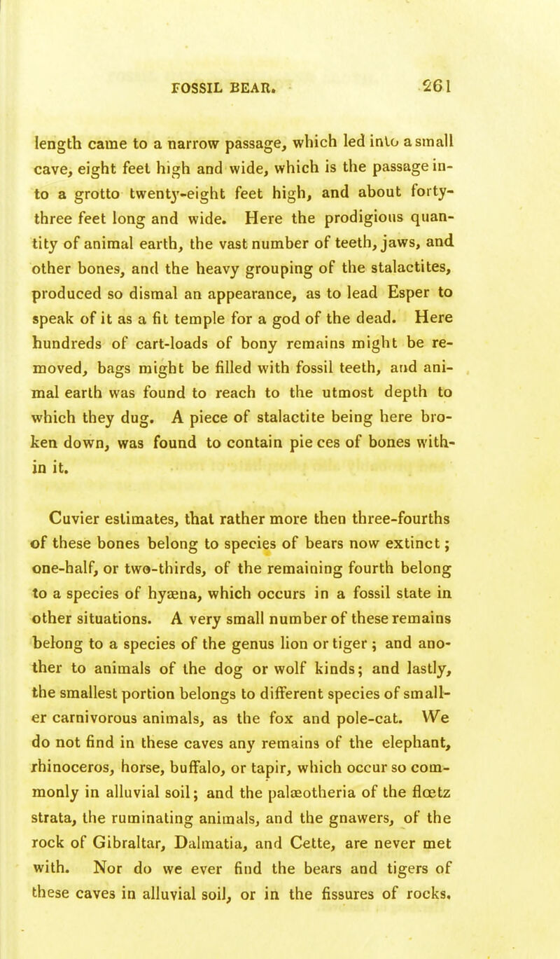 length came to a narrow passage, which led into a small cave, eight feet high and wide, which is the passage in- to a grotto twent3'-eight feet high, and about forty- three feet long and wide. Here the prodigious quan- tity of animal earth, the vast number of teeth, jaws, and other bones, and the heavy grouping of the stalactites, produced so dismal an appearance, as to lead Esper to speak of it as a fit temple for a god of the dead. Here hundreds of cart-loads of bony remains might be re- moved, bags might be filled with fossil teeth, and ani- mal earth was found to reach to the utmost depth to which they dug. A piece of stalactite being here bro- ken down, was found to contain pie ces of bones with- in it. Cuvier estimates, that rather more then three-fourths of these bones belong to species of bears now extinct; one-half, or twe-thirds, of the remaining fourth belong to a species of hyjena, which occurs in a fossil state in other situations. A very small number of these remains belong to a species of the genus lion or tiger ; and ano- ther to animals of the dog or wolf kinds; and lastly, the smallest portion belongs to different species of small- er carnivorous animals, as the fox and pole-cat. We do not find in these caves any remains of the elephant, rhinoceros, horse, buffalo, or tapir, which occur so com- monly in alluvial soil; and the palaeotheria of the floetz strata, the ruminating animals, and the gnawers, of the rock of Gibraltar, Dalmatia, and Cette, are never met with. Nor do we ever find the bears and tigers of these caves in alluvial soil, or in the fissures of rocks.
