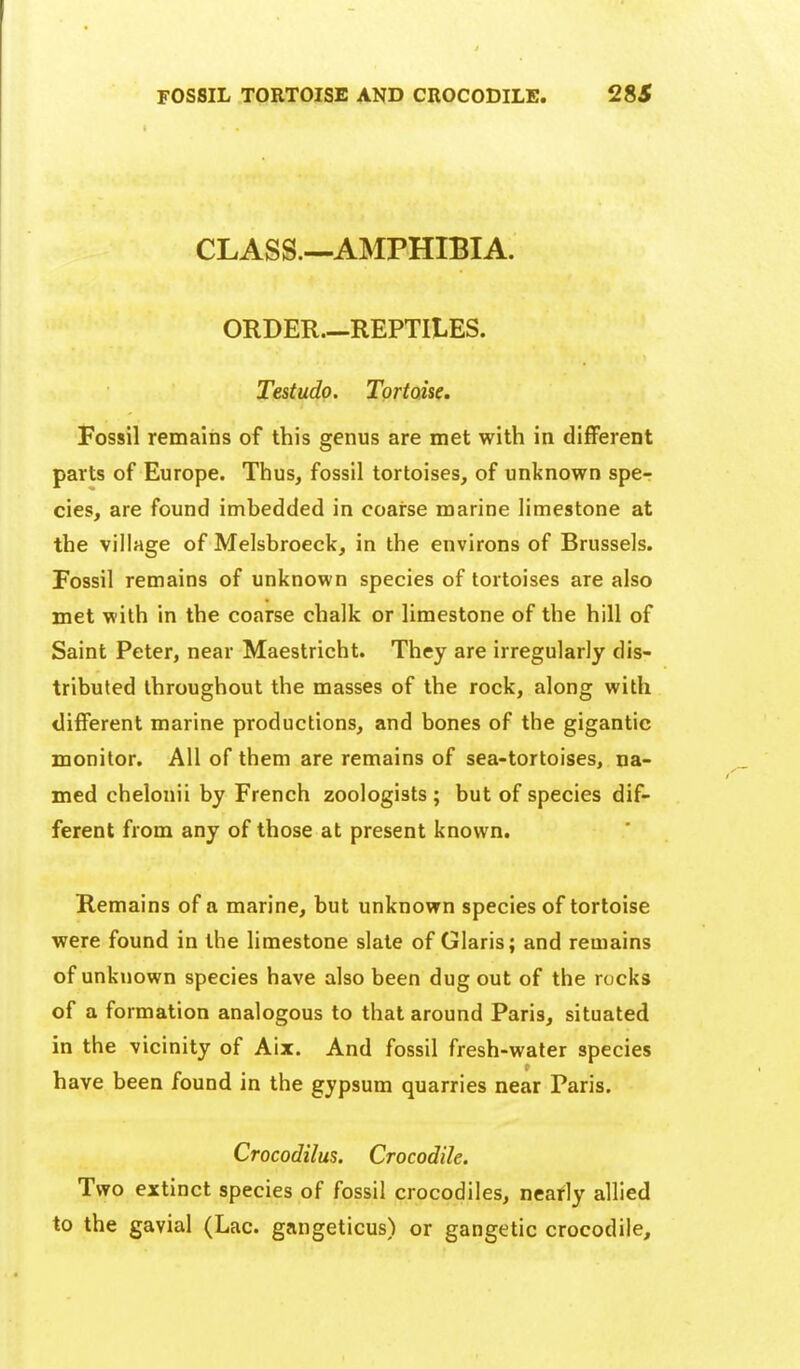 CLASS.—AMPHIBIA. ORDER—REPTILES. Testudo. Tortoise. Fossil remains of this genus are met with in different parts of Europe. Thus, fossil tortoises, of unknown spe- cies, are found imbedded in coarse marine limestone at the village of Melsbroeck, in the environs of Brussels. Fossil remains of unknown species of tortoises are also met with in the coarse chalk or limestone of the hill of Saint Peter, near Maestricht. They are irregularly dis- tributed throughout the masses of the rock, along with different marine productions, and bones of the gigantic monitor. All of them are remains of sea-tortoises, na- med chelonii by French zoologists ; but of species dif- ferent from any of those at present known. Remains of a marine, but unknown species of tortoise were found in the limestone slate of Claris; and remains of unknown species have also been dug out of the rocks of a formation analogous to that around Paris, situated in the vicinity of Aix. And fossil fresh-water species have been found in the gypsum quarries near Paris. Crocodilus. Crocodile. Two extinct species of fossil crocodiles, neafly allied to the gavial (Lac. gangeticus) or gangetic crocodile.