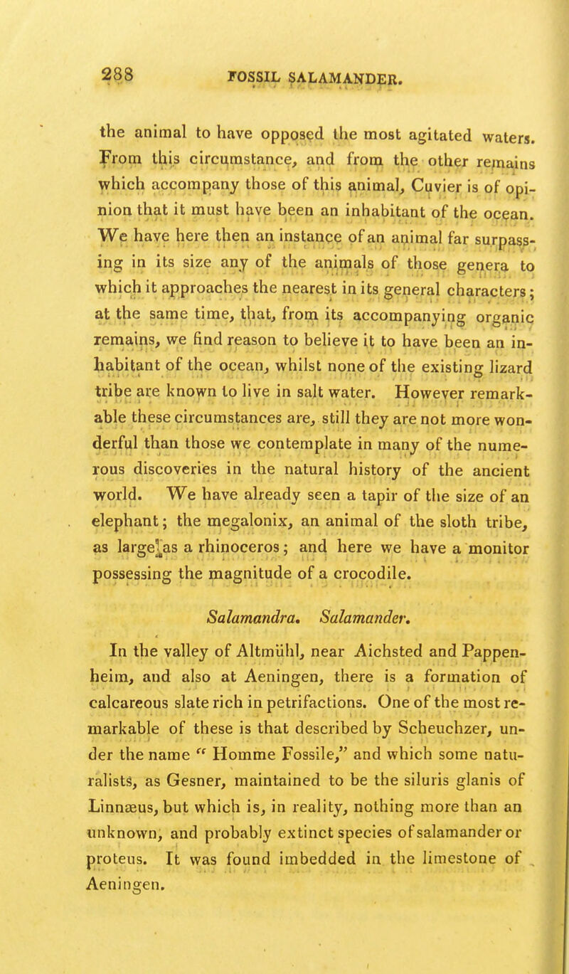 FOSSIL SALAMANDER. the animal to have opposed the most agitated waters. From this circumstance, and from the other re;nains which accompany those of this animal, Cuvier is of opi- nion that it must have been an inhabitant of the ocean. We have here then an instance of an auimal far surpass- ing in its size any of the animals of those genera to which it approaches the nearest in its general characters; at the same time, that, frorn its accompanying organic remains, we find reason to believe it to have been an in- habitant of the ocean, whilst none of the existing lizard tribe are known to live in salt water. However remark- able these circumstances are, still they are not more won- derful than those we contemplate in many of the nume- rous discoveries in the natural history of the ancient world. We have already seen a tapir of tiie size of an elephant; the megalonix, an animal of the sloth tribe, as largel^as a rhinoceros; and here we have a monitor possessing the magnitude of a crocodile. Salamandra, Salamander, In the valley of Altmiiid, near Aichsted and Pappen- heim, and also at Aeningen, there is a formation of calcareous slate rich in petrifactions. One of the most re- markable of these is that described by Scheuchzer, un- der the name  Homme Fossile, and which some natu- ralists?, as Gesner, maintained to be the siluris glanis of Linnaeus, but which is, in reality, nothing more than an unknown, and probably extinct species of salamander or proteus. It was found imbedded in the limestone of , Aeningen.