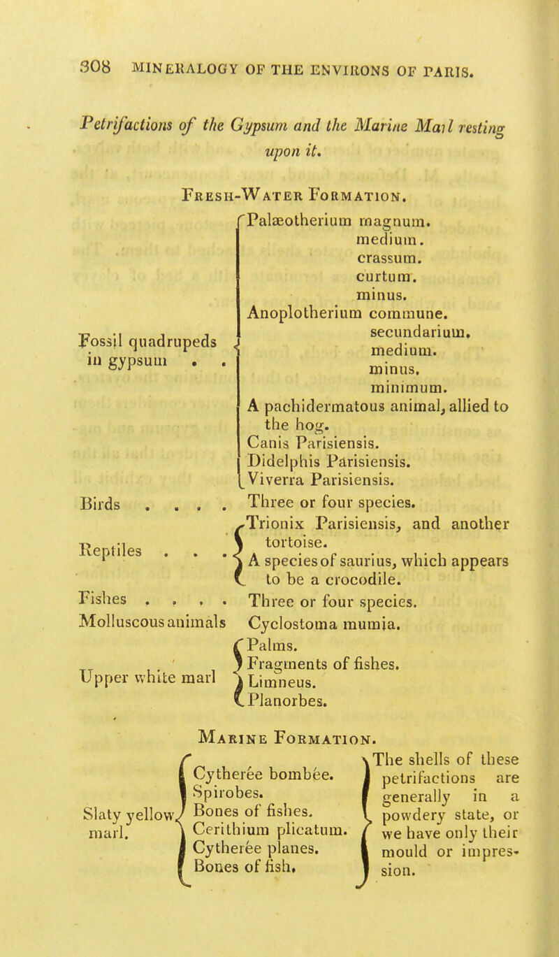 Petrifactions of the Gypsum and the Marine Mai I resting upon it. Fossil quadrupeds in gj'psuui . Fresh-Water Formation. Palaeolheiium magnum. medium, crassum. curtum. minus. Anoplotherium commune. secundariuui. medium, minus, minimum. A pachideimatous animal, allied to the hog. Canis Parisiensis. Didelphis Parisiensis. Viverra Parisiensis. Three or four species. Trionix Parisiensis, and another tortoise. A species of sauri us, which appears to be a crocodile. Three or four species. Cyclostoma mumia. r Palms. J Fragments of fishes. Upper white marl \ Limneus. vPlanorbes. Birds . . . . Reptiles Fishes . , . . Molluscous animals Marine Formation. Slaty yellow.; marl. Cytheree bombee. Spirobes. Bones of fishes. Cerilhium plicatum. Cytheree planes. Bones of fish, ,The shells of these petrifactions are generally in a powdery state, or we have only their mould or impres- sion.