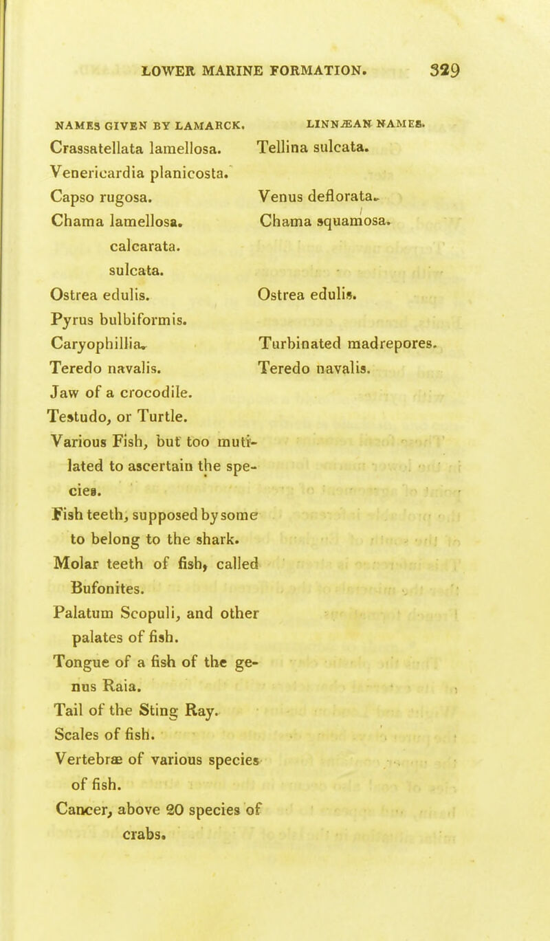 NAMES GIVEN BY LAMARCK Crassatellata lamellosa. Veneiioardia planicosta. Capso rugosa. Chama lamellosa, calcarata. sulcata. Ostrea edulis. Pyrus bulbiformis. Caryophillia» Teredo navalis. Jaw of a crocodile. Testudo, or Turtle. Various Fish, but too mutt- lated to ascertain the spe- cies. Fish teeth, supposed by some to belong to the shark. Molar teeth of fish, called Bufonites. Palatum Scopuli, and other palates of fish. Tongue of a fish of the ge- nus Raia. Tail of the Sting Ray. Scales of fish. Vertebrae of various species of fish. Cancer, above 20 species of crabs. LINNJEAN NAMES. Tellina sulcata. Venus deflorata^ Chama squaniosa. Ostrea edulis. Turbinated madrepores. Teredo navalis.