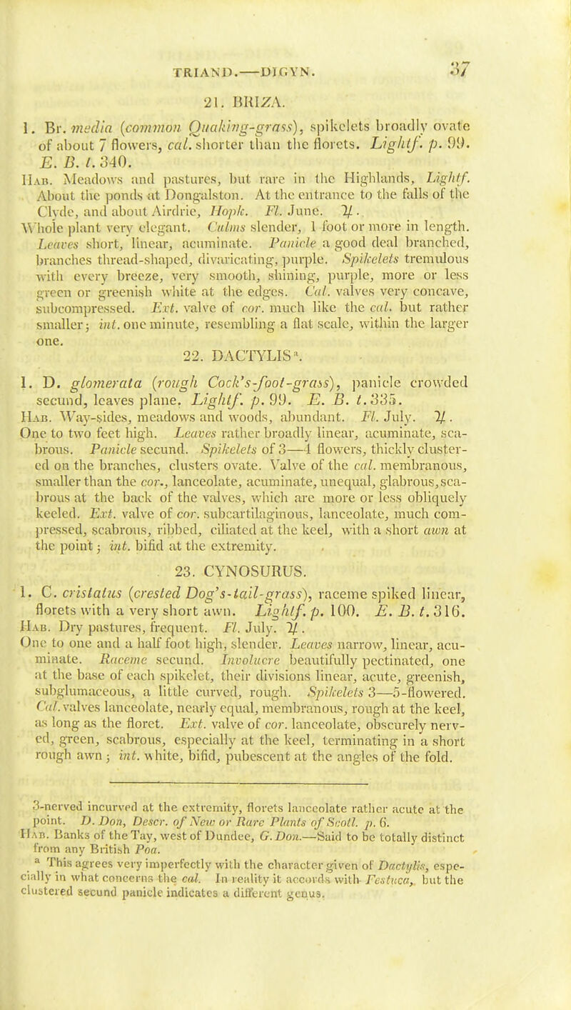 •21. BRIJZA. I. Br. media {common Quaking-grass), spikolets broadly ovate of about 7 flowers, cal. shorter than the florets. Lightf. p. E.B.I. 340. Hab. Meadows and pastures, but rare in the Highlands, Lightf. About the ponds at Dongalstnn. At the entrance to the falls of the C h ile, and about Airdrie, lloplc. Fl. June. 7/. Whole plant very elegant. ('alms slender, 1 foot or more in length. Leaves short, linear, acuminate. Panicle a good deal branched, branches thread-shaped, divaricating, purple. Spikelets tremulous with every breeze, very smooth, shining, purple, more or less green or greenish white at the edges. Cal. valves very concave, subeompressed. F.xt. valve of cor. much like the cal. but rather smaller; int. one BMtrote, resembling a flat scale, within the larger one. 22. DACTYLIS1. 1. D. glomerata (rough Cock's-foot-grass), panicle crowded secund, leaves plane. Lightf. p. 99. E. B. t.3'35. Hab. Way-sides, meadows and woods, abundant. Ft. July. 11. One to two feet high. Leaves rather broadly linear, acuminate, sca- brous. Panicle secund. Spikelets of 3—4 flowers, thickly cluster- ed on the branches, clusters ovate. Valve of the cal. membranous, smaller than the cor., lanceolate, acuminate, unequal, glabrous, sca- brous at the back of the valves, which are more or less obliquely keeled. Ext. valve of cor. subcartilaginous, lanceolate, much com- pressed, scabrous, ribbed, ciliated at the keel, with a short awn at the point; int. bifid at the extremity. 23. CYNOSURUS. 1. C. crislatus (crested Dog's-ta'd-grass), raceme spiked linear, florets with a very short awn. Lightf. p. 100. E. B. t. 316. IIab. Dry pastures, frequent. Fl. July. % . One to one and a half foot high, slender. Leaves narrow, linear, acu- minate. Raceme secund. Involucre beautifully pectinated, one at the base of each spikelet, their divisions linear, acute, greenish, subglumaceous, a little curved, rough. Spikelets 3—5-flowered. ('id. valves lanceolate, nearly equal, membranous, rough at the keel, as long as the floret. Ext. valve of cor. lanceolate, obscurely nerv- ed, green, scabrous, especially at the keel, terminating in a short rough awn ; int. white, bifid, pubescent at the angles of the fold. 3-nerved incurved at the extremity, florets lanceolate rather acute at the point. D. Don, Descr. of Neiv or Rare Plants of S'thtl p. 6. Hab. Banks of the Tay, west of Dundee, G.Don.—Said to be totally distinct from any British Poa. a This agrees very imperfectly with the character given of Dactyl}*, espe- cially in what concerns the cal. In reality it accords with Fcstuca, but the clustered secund panicle indicates a different genus.