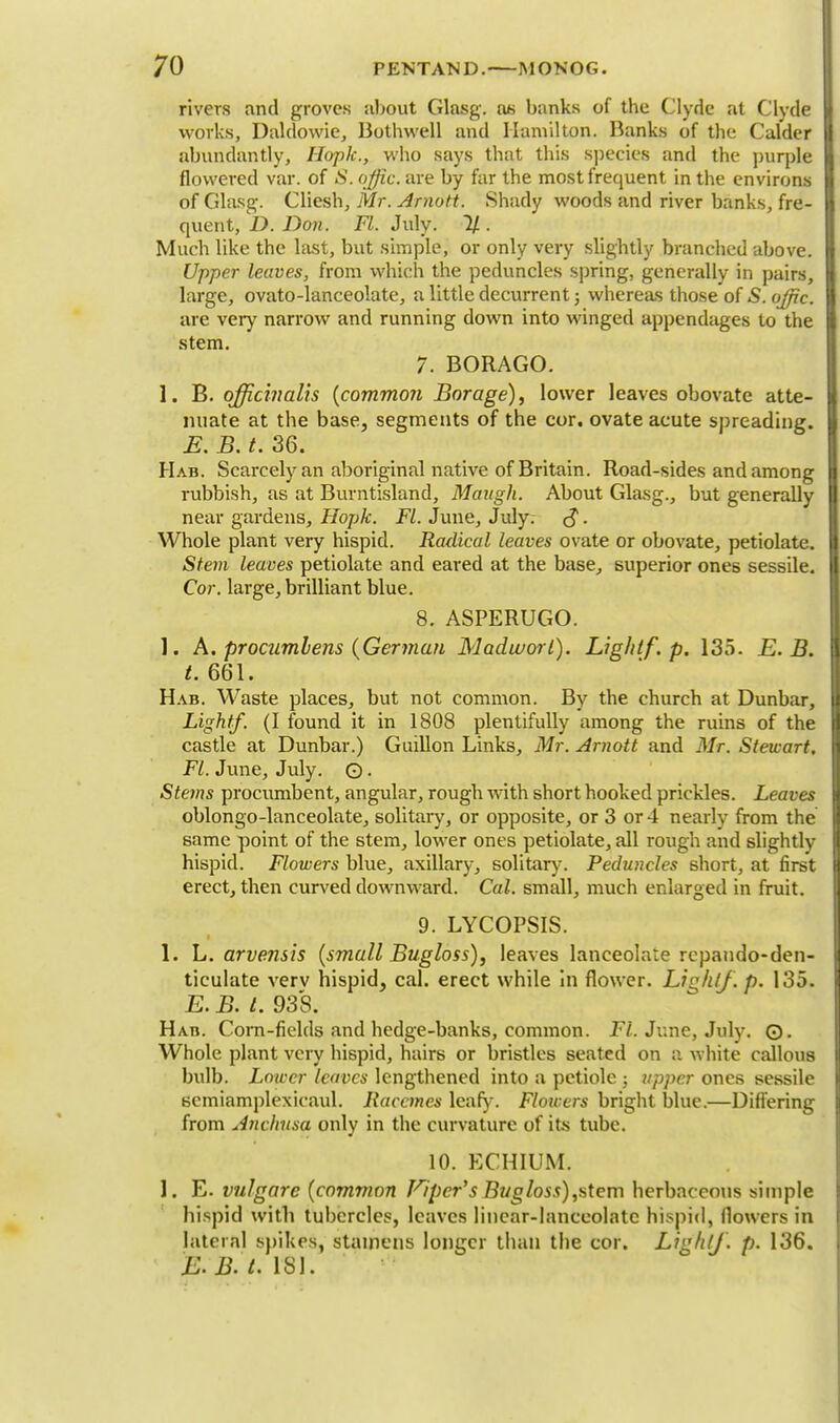 rivers and groves about Glasg. an banks of the Clyde at Clyde works, Daldowie, Bothwell and Hamilton. Banks of the Cafder abundantly, Hoplc, who says that this species and the purple flowered var. of S. offic. are by far the most frequent in the environs of Glasg-. Cliesh, Mr. Amott. Shady woods and river banks, fre- quent, D. Don. Fl. July. % • Much like the last, but simple, or only very slightly branched above. Upper leaves, from which the peduncles spring, generally in pairs, large, ovato-lanceolate, a little decurrent; whereas those of S. offic. are very narrow and running down into winged appendages to the stem. 7. BORAGO. 1. B. officinalis (commo?i Borage), lower leaves obovate atte- nuate at the base, segments of the cor. ovate aeute spreading. E. B. t. 36. Hab. Scarcely an aboriginal native of Britain. Road-sides and among rubbish, as at Burntisland, Mangh. About Glasg., but generally near gardens, Hopk. Fl. June, July. S • Whole plant very hispid. Radical leaves ovate or obovate, petiolate. Stem leaves petiolate and eared at the base, superior ones sessile. Cor. large, brilliant blue. 8. ASPERUGO. ]. A. procumlens {German Madworl). Lighlf. p. 135. E. B. t. 661. Hab. Waste places, but not common. By the church at Dunbar, Light/. (I found it in 1808 plentifully among the ruins of the castle at Dunbar.) Guillon Links, Mr. Amott and Mr. Stewart. Fl. June, July. O • Stems procumbent, angular, rough with short hooked prickles. Leaves oblongo-lanceolate, solitary, or opposite, or 3 or 4 nearly from the same point of the stem, lower ones petiolate, all rough and slightly hispid. Flowers blue, axillary, solitary. Peduncles short, at first erect, then curved downward. Cal. small, much enlarged in fruit. 9. LYCOPSIS. 1. L. arvensis (small Bug loss), leaves lanceolate rcpando-den- ticulate verv hispid, cal. erect while in flower. Lighlf. p. 135. E. B. I. 938. Hab. Com-fields and hedge-banks, common. Fl. June, July. ©. Whole plant very hispid, hairs or bristles seated on a white callous bulb. Lower leaves lengthened into a petiole ; upper ones sessile semiamplexicaul. Racemes leafy. Flowers bright blue.—Differing from Anchiisa only in the curvature of its tube. 10. ECHIUM. I. E. vulgare (common Piper's Bugloss),stem herbaceous simple hispid with tubercles, leaves linear-lanceolate hispid, flowers in lateral spikes, stamens longer than the cor. Ligfi/J. p. 136. E. B. t. rsi.