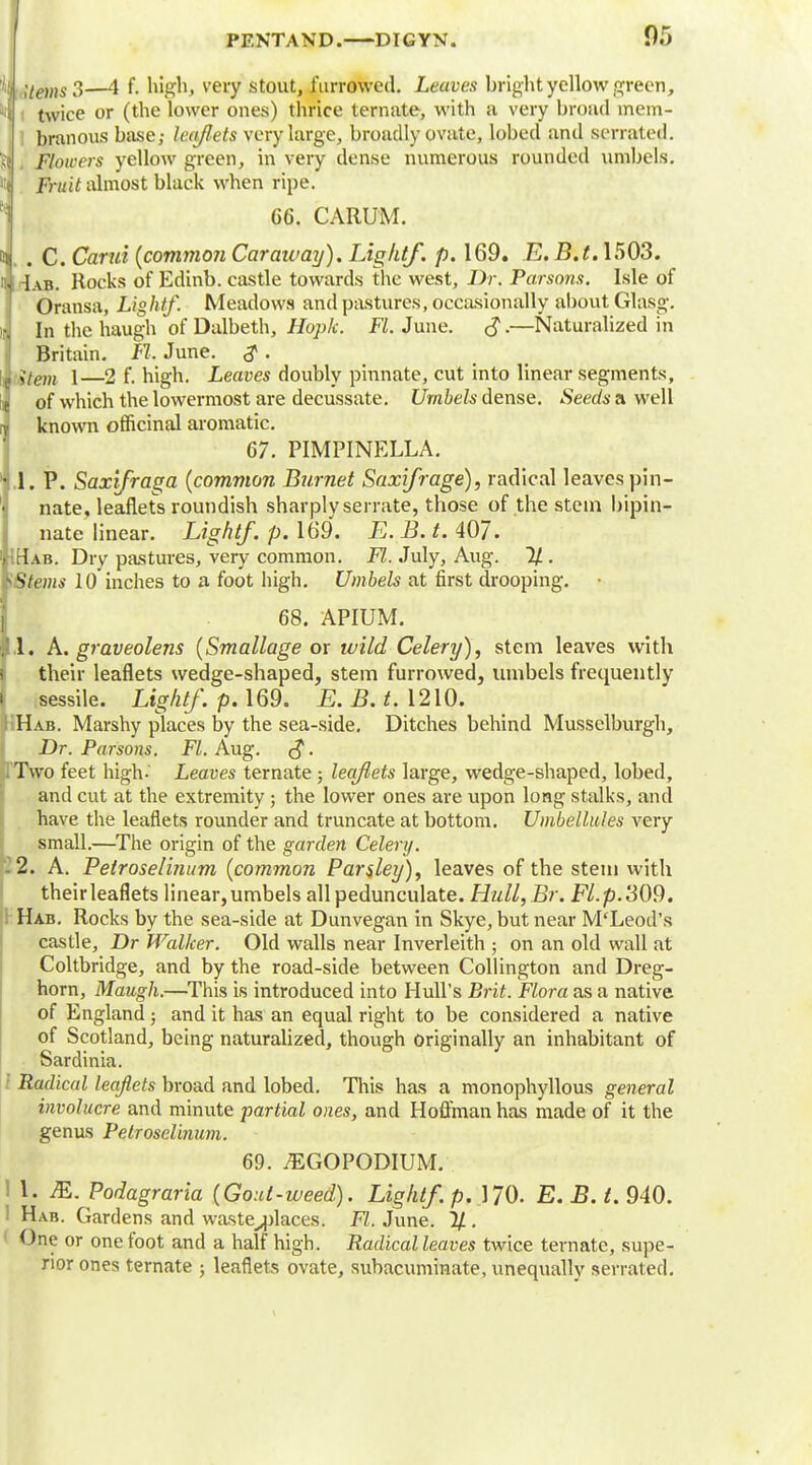;iem3—4 f. high, very stout, furrowed. Leaves bright yellow green, ■ twice or (the lower ones) thrice ternate, with a very broad mem- branous base,- leajlels very large, broadly ovate, lobed and serrated. Flowers yellow green, in very dense numerous rounded umbels. fruit almost black when ripe. 66. CARUM. . C. Carui {common Caraway), Light/, p. 169. E.B.t. 1503. Iab. Rocks of Edinb. castle towards the west, Dr. Parsons. Isle of Oransa, Lightf. Meadows and pastures, occasionally about Glasg. • In the haugh of Dalbeth, Hopk. Fl. June. —Naturalized in Britain. Fl. June. . J i(em i—2 f. high. Leaves doubly pinnate, cut into linear segments, H of which the lowermost are decussate. Umbels dense. Seeds a well known officinal aromatic. 67. PIMPINELLA. 1. P. Saxfraga (common Burnet Saxifrage), radical leaves pin- nate, leaflets roundish sharply sen ate, those of the stein bipin- nate linear. Lightf. p. 169. E. B. t. 407. Hab. Dry pastures, very common. Fl. July, Aug. 1/ . -Stems 10 inches to a foot high. Umbels at first drooping. 68. APIUM. A. graveolens (Smallage or wild Celery), stem leaves with their leaflets wedge-shaped, stem furrowed, umbels frequently sessile. Lightf. p. 169. E. B. t. 1210. Hab. Marshy places by the sea-side. Ditches behind Musselburgh, Dr. Parsons. Fl. Aug. . . Two feet high.' Leaves ternate ; leaflets large, wedge-shaped, lobed, and cut at the extremity; the lower ones are upon long stalks, and have the leaflets rounder and truncate at bottom. Umbellules very small.—The origin of the garden Celery. 12. A. Petroselinum (common Parsley), leaves of the stem with theirleaflets linear,umbels all pedunculate. Hull, Br. Fl.p.309. Hab. Rocks by the sea-side at Dunvegan in Skye, but near M'Leod's castle, Dr Walker. Old walls near Inverleith ; on an old wall at Coltbridge, and by the road-side between Collington and Dreg- horn, Maugh.—This is introduced into Hull's Brit. Flora as a native of England ; and it has an equal right to be considered a native of Scotland, being naturalized, though originally an inhabitant of Sardinia. I Radical leaflets broad and lobed. This has a monophyllous general involucre and minute partial ones, and Hoffman has made of it the genus Petroselinum. 69. ^GOPODIUM. I 1. M. Podagraria (Gout-weed). Lightf'. p. 170. E.B.t. 940. Hab. Gardens and waste^places. Fl. June. 11. One or one foot and a half high. Radical leaves twice ternate, supe- rior ones ternate ; leaflets ovate, suhacuminate, unequally serrated.