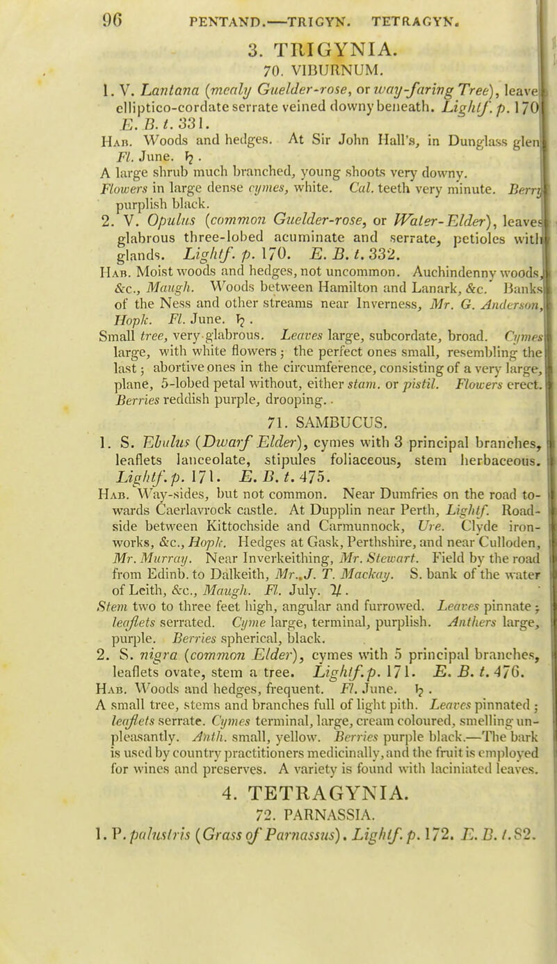 3. TRIGYNIA. 70. VIBURNUM. 1. V. Lantcma (mealy Guelder-rose, ox may-faring Tree), leav elliptico-cordate serrate veined downy beneath. Lighlf. p. 17 E.B. t. 331. Hab. Woods and hedges. At Sir John Hall's, in Dunglass gle Fl. June, . A large shrub much branched, young shoots very downy. Flowers in large dense cymes, white. Cal. teeth very minute. Berr purplish black. 2. V. Opulus (common Guelder-rose, or Water-Elder), leave glabrous three-lobed acuminate and serrate, petioles witl glands. Light/, p. 170. E. B. t. 332. IIab. Moist woods and hedges, not uncommon. Auchindenny woods, &c, Maugh. Woods between Hamilton and Lanark, &c.' Banks of the Ness and other streams near Inverness, Mr. G. Anderson, Hoplc. Fl. June. ^ • Small tree, very glabrous. Leaves large, subcordate, broad. Cymes large, with white flowers ; the perfect ones small, resembling the last; abortive ones in the circumference, consisting of a very large, plane, 5-lobed petal without, either stam. or pistil. Flowers erect. Berries reddish purple, drooping.. 71. SAMBUCUS. 1. S. Ebulus (Dwarf Elder), cymes with 3 principal branches, leaflets lanceolate, stipules foliaceous, stem herbaceous. Lightf. p. 171 • E.B.t. 475. Hab. Way-sides, but not common. Near Dumfries on the road to- wards Caerlavrock castle. At Dupplin near Perth, Lightf. Road- side between Kittochside and Carmunnock, Ure. Clyde iron- works, &c, Hoplc. Hedges at Gask, Perthshire, and near Culloden, Mr. Murray. Near Inverkeithing, Mr. Stewart. Field by the road from Edinb. to Dalkeith, Mr..J. T. Mackay. S. bank of the water of Leith, &c, Maugh. Fl.. July. % . Stem two to three feet high, angular and furrowed. Leaves pinnate -7 leaflets serrated. Cyme large, terminal, purplish. Anthers large, purple. Berries spherical, black. 2. S. nigra (common Elder), cymes with 5 principal branches, leaflets ovate, stem a tree. Lighlf p. 171. E. B. t. 47G. Hab. Woods and hedges, frequent. Fl. June. 1? . A small tree, stems and branches full of light pith. Leaves pinnated ; leafets serrate. Cymes terminal, large, cream coloured, smelling un- pleasantly. Anth. small, yellow. Berries purple black.—The bark is used by country practitioners medicinally, and the fruit is employed for wines and preserves. A variety is found with laciniated leaves. 4. TETRAGYNIA. 72. PARNASSIA. 1. P. paluslris (Grass of Parnassus). Lightf. p. 172. E. B. 1.82.