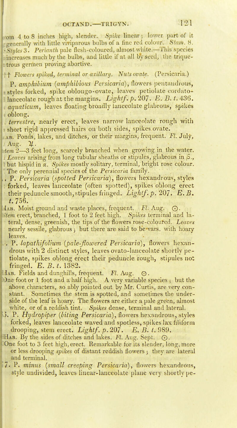 oin 4 to 8 inches high, slender. Spike linear; lower purt of it generally with little viviparous bulhs of a fine red colour. Sianti. 8. S Styles 3. Perianth pale flesh-coloured, almost white.—This species increases much by the bulbs, and little if at all by seed, the trique- trous germen proving abortive. ft Flowers spiked, terminal or axillary. Nuts ovate. (Persicaria.) P. amphibium (amphibious Persicaria), flowers pentaudFOUS, styles forked, spike oblongo-ovate, leaves petiolate cdrdato- la'nceolate rough at the margins. Lightf. p. 207. E. B. I. 436. aquaticum, leaves floating broadly lanceolate glabrous, spikes oblong. terrestre, nearly erect, leaves narrow lanceolate rough with - short rigid apprcssed hairs on both sides, spikes ovate. ab. Ponds, lakes, and ditches, or their margins, frequent. Fl. July, Aug. H. . „ ... • tern 2—3 feet long, scarcely branched when growing in the water, j Leaves arising from long tubular sheaths or stipules, glabrous in jS., but hispid in a. Spikes mostly solitary, terminal, bright rose colour. The only perennial species of the Persicaria family. .. P. Persicaria (spotted Persicaria), flowers hexandrous, styles forked, leaves lanceolate (often spotted), spikes oblong erect their peduncle smooth, stipules fringed. Lightf.p. 207. E.B. *.756. Iab. Moist ground and waste places, frequent. FL Aug. ©. 'tern erect, branched, 1 foot to 2 feet high. Spikes terminal and la- teral, dense, greenish, the tips of the flowers rose-coloured. Leaves nearly sessile, glabrous; but there are said to be wars, with hoary leaves. . . P. lapathifolium (pale-flowered Persicaria), flowers hexan- drous with 2 distinct styles, leaves ovato-lanceolate shortly pe- tiolate, spikes oblong erect their peduncle rough, stipules not fringed. E. B. t. 1382. LJab. Fields and dunghills, frequent. Fl. Aug. O- )ne foot or 1 foot and a half high. A very variable species ; but the above characters, so ably pointed out by Mr. Curtis, are very con- stant. Sometimes the stem is spotted, and sometimes the under- side of the leaf is hoary. The flowers are either a pale green, almost white, or of a reddish tint. Spikes dense, terminal and lateral. >.). P. Hydropiper (biting Persicaria), flowers hexandrous, styles forked, leaves lanceolate waved and spotless, spikes lax filiform drooping, stem erect. Lightf. p. 207. E. B. I. 989. '.Hab. By the sides of ditches and lakes. Fl. Aug. Sept. 0. I One foot to 3 feet high, erect. Remarkable for its slender, long, more or less drooping spikes of distant reddish flowers ; they are lateral and terminal. > 7. P. minus (small creeping Persicaria), flowers hexandrous, style undivided, leaves linear-lanceolate plane very shortly pe-