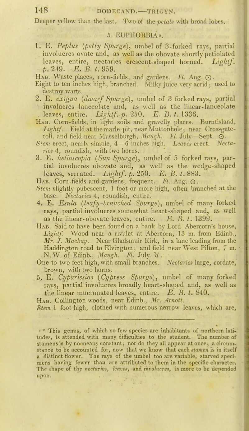 Deeper yellow than the last. Two of the petals with broad loots. 5. EUPHORBIA. 1. E. Peplus {petty Spurge), umbel of 3-forked rays, partial involucres ovate and, as well a9 the obovate shortly petiolatcd leaves, entire, nectaries crescent-shaped horned. Light/, p. 249. E. B. t. 959. Hab. Waste places, corn-fields, and gardens. Fl, Aug. ©. Eight to ten inches high, branched. Milky juice very acridj used to destroy warts. 2. E. exigua {dwarf Spurge), umbel of 3 forked rays, partial involucres lanceolate and, as well as the linear-lanceolate leaves, entire. Light/, p. 250. E. B. t. 1336. Hab. Corn-fields, in light soils and gravelly places. Burntisland, Lightf'. Field at the marle-pit, near Muttonhole; near Crossgate- toll, and field near Musselburgh, Maugh. Fl. July—Sept. ©. Stem erect, nearly simple, 4—G inches high. Leaves erect. Necta- ries 4, roundish, with two horns. 3. E. helioscopia {Sun Spurge), umbel of 5 forked rays, par- tial involucres obovate and, as well as the wedge-shaped leaves, serrated. Light/, p. 250. E. B. t. 883. Hab. Corn-fields and gardens, frequent. Fl. Aug. Q. Stem slightly pubescent, 1 foot or more high, often branched at the base. Nectaries 4, roundish, entire. 4. E. Esula {leafy-branched Spurge), umbel of many forked rays, partial involucres somewhat heart-shaped and, as well as the linear-obovate leaves, entire. E. 73. t. 1399. Hab. Said to have been found on a bank by Lord Abercorn's house, Light/. Wood near a rivulet at Abercorn, 13 m. from Edinb., Mr. J. Mackay. Near Gladsmuir Kirk, in a lane leading from the Haddington road to Elvington; and field near West Pilton, 7 m. N. W. of Edinb., Maugh. Fl. July. % . One to two feet high, with small branches. Nectaries large, cordate, brown, with two horns. .5.. E. Cyparissias {Cypress Spurgs), umbel of many forked rays, partial involucres broadly heart-shaped and, as well as the linear mucronated leaves, entire. E. B. t. 840. Hab. Collington woods, near Edinb., Mr. Arnott. Stem 1 foot high, clothed with numerous narrow leaves, which are, 1 3 This genus, of which so few species are inhabitants of northern lati- tudes, is attended with many difficulties to the student. The number of stamens is by no-means constant; nor do they all appear at once; a circum- stance to be accounted for, now that we know that each stamen is in itself a distinct flower. The rays of the umbel too are variable, starved speci- mens having fewer than are attributed to them in the specific character. The -hape of thr ncetar'm, leaves, and rnvobicret, is more to be depended upon. . •