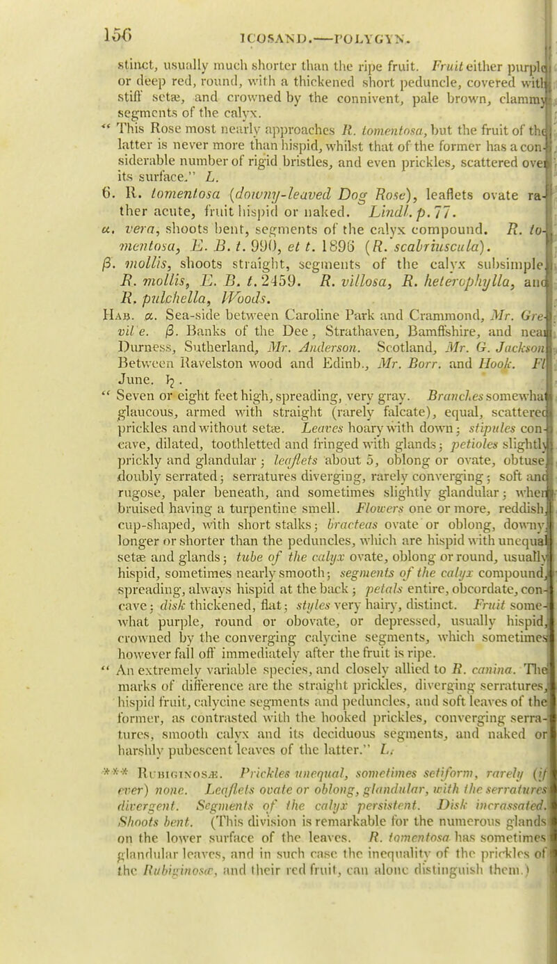 1&6 stiiict, usually much shorter than the ripe fruit. Fruit either purple or deep red, round, with a thickened short peduncle, covered witt stiff seta;, and crowned by the connivent, pale brown, clammj segments of the calyx. <( This Rose most nearly approaches R. tomentosa, but the fruit of tin latter is never more than hispid, whilst that of the former has aeon, siderable number of rigid bristles, and even prickles, scattered ove: its surface, L. 6. 11. tomentosa {downy-leaved Dog Roue), leaflets ovate ra- ther acute, fruit hispid or naked. Lindl. p. 77. a. vera, shoots bent, segments of the calyx compound. R. to- mentosa, E. B. t. 990, el t. 1898 (R. scabriuscula). /3. mollis, shoots straight, segments of the calyx subsiniple B. mollis, E. B. /.2459. R. villosa, B. heteruphylla, am B. pulchella, Woods. Hah. «. Sea-side between Caroline Park and Crammond, Mr. Gre vile. (3. Banks of the Dee, Strathaven, Bamffshire, and nea Durness, Sutherland, Mr. Anderson. Scotland, Mr. G. Jackson Between itavelston wood and Edinb., Mr. Borr. and Hook. Ft June. J? .  Seven or eight feet high, spreading, very gray. -B/w/cAessomewha glaucous, armed with straight (rarely falcate), equal, scattere( prickles and without seta;. Leaves hoary with down; stipules con- cave, dilated, toothletted and fringed with glands; petioles slightlj prickly and glandular ; leaflets about 5, oblong or ovate, obtuse doubly serrated; serratures diverging, rarely converging; soft am rugose, paler beneath, and sometimes slightly glandular; wher bruised having a turpentine smell. Flowers one or more, reddish, cup-shaped, with short stalks; bracteas ovate or oblong, downyji longer or shorter than the peduncles, which are hispid with unequal; setae and glands; tube of the calyx ovate, oblong or round, usuatl\| hispid, sometimes nearly smooth; segments of the calyx compound/ > spreading, always hispid at the back ; petals entire, obcordate, con-< cave; disk thickened, flat; styles very hairy, distinct. Fruit some-] what purple, round or obovate, or depressed, usually hispid, crowned by the converging calycine segments, which sometimes however fail off immediately after the fruit is ripe.  An extremely variable species, and closely allied to R. canina. The! marks of difference are the straight prickles, diverging serratures, hispid fruit, calycine segments and peduncles, and soft leaves of the former, as contrasted with the hooked prickles, converging serra- tures, smooth calyx and its deciduous segments, and naked or harshly pubescent leaves of the latter. L.- *'** Rcbicixos/E. Prickles unequal, sometimes setiform, rarely (if ever) none. Leaflets ovate or oblong, glandular, with the serratures divergent. Segments of the calyx persistent. Disk incrassatcd. Shoots bent. (This division is remarkable for the numerous glands on the lower surface of the leaves. R. tomentosa has sometimes glandular loaves, and in such case the inequality of the prirkles ofi the Rubizinostf, and their red fruit, can alone distinguish them.)