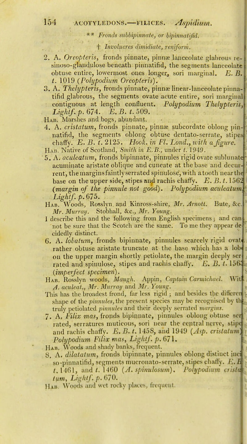** Fro?ids subbipinnate, or bipinnatijid. f Involucres dimidiate, reniform. 2. A. Oreopleris, fronds pinnate, pinnae lanceolate glabrous ie- sinoso-glandulose beneath pinnatifid, the segments lanceolate obtuse entire, lowermost ones longer, sori marginal. E. B. i. 1019 (Polypodium Oreopleris). 3. A. Thelypteris, fronds pinnate, pinnae linear-lanceolate pinna- tifid glabrous, the segments ovate acute entire, sori marginal contiguous at length confluent. Polypodium Thelypteris, Light/, p. 674. E.B.t. 509. Hab. Marshes and bogs, abundant. 4. A. cristaium, fronds pinnate, pinnae subcordate oblong pin- natifid, the segments oblong obtuse dentato-serrate, stipes chaffy. E. B. t. 2125. Hook, in Fl. Lond., with a figure, Hab. Native of Scotland, Smith in E.B., under t. 1949. '5. A. aculeatum, fronds bipinnate, pinnules rigid ovate sublimate ■ acuminate aristate oblique and cuneate at the base and dccur- rent, the margins faintly serrated spinulose, with a tooth near the base on the upper side, stipes anjd rachis chaffy. E. B.t. 1562 (margin of the pinnule not good). Polypodium aculeatum Light/, p. 675. . Hab. Woods, Rosslyn and Kinross-shire, Mr. Arnott. Bute, &c Mr. Murray. Stobhall, &c, Mr. Young. I describe this and the following from English specimens; and can not be sure that the Scotch are the same. To me they appear de cidedly distinct. 6. A. lob a turn 3 fronds bipinnate, pinnules scarcely rigid ovat rather obtuse aristate truncate at the base which has a lob on the upper margin shortly petiolate, the margin deeply ser rated and spinulose, stipes and rachis chaffy. E. B. t. 15(v (imperfect specimen). Hab. Rosslyn woods, Maugh. Appin, Captain Carmichacl. Wit A. aculeat., Mr. Murray and Mr. Young. This has the broadest frond, far less rigid j and besides the diftcrcri shape of the pinnules, the present species may be recognised by th :,. truly petiolatetl pinnules and their deeply serrated margins. 7. A, Filix mas, frojids bipinnate, pinnules oblong obtuse scr rated, serratures mutieous, sori near the ccptral nerve, stijx and rachis chaffy. E.B. t. 145S, and 1949 {Asp. cristaium] Polypodium Filix mas, Light/, p. 671. Hab. Woods and shady banks, frequent. 8. A. dilatalum, fronds bipinnate, pinnules oblong distinct jnci so-pinnatihd, segments mucronato-serrate, stipes chaffy. E.l 1.1461, and /. 1460 (A. spinulosum). Polypodium crista turn, Light/ p. 670. Hab. Woods and wet rocky places, frequent. - I.